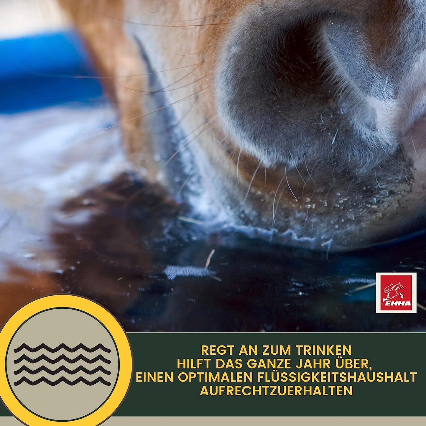 EMMA Life 3 Elektrolyte Pulver Plus Aminosäuren für Pferde I 100% natürlich I Elektrolyt Pulver mit Vitaminen Amino Energy Magnesium I Hydrate zur Unterstützung Leistung & Regeneration nach Sport Training 2,5Kg3.jpg