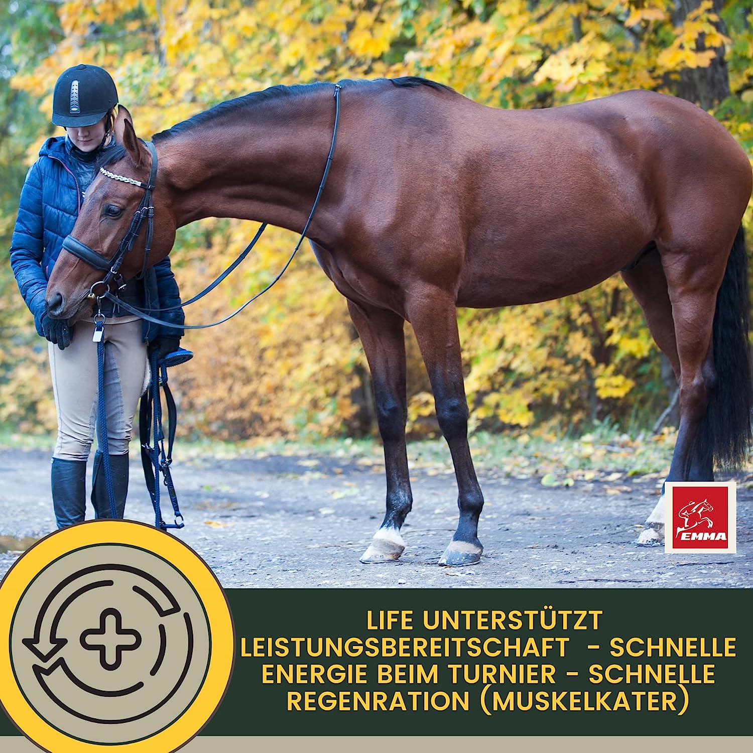 EMMA Life 6 Elektrolyte Pulver Plus Aminosäuren für Pferde I 100% natürlich I Elektrolyt Pulver mit Vitaminen Amino Energy Magnesium I Hydrate zur Unterstützung Leistung & Regeneration nach Sport Training 2,5Kg6.jpg