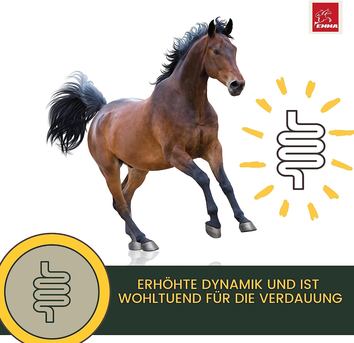 EMMA Linseed oil Leinöl Pferde 2  1L für Hunde Katzen I Barf Öl I Leinöl Pferd Omega 3 Öl 3 6 Fettsäuren I Futteröl Tiere Leinsamenöl Kaltgepresst zum Barfen Fürs Tier glänzendes Fell Verdauung Fellwechsel.png