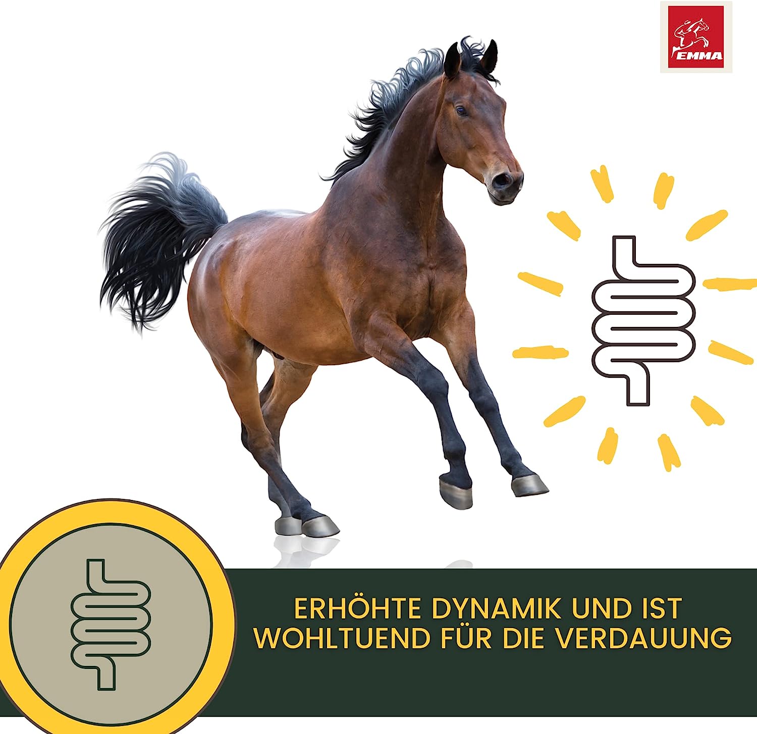 EMMA Linseed oil Leinöl Pferde 2  1L für Hunde Katzen I Barf Öl I Leinöl Pferd Omega 3 Öl 3 6 Fettsäuren I Futteröl Tiere Leinsamenöl Kaltgepresst zum Barfen Fürs Tier glänzendes Fell Verdauung Fellwechsel.png