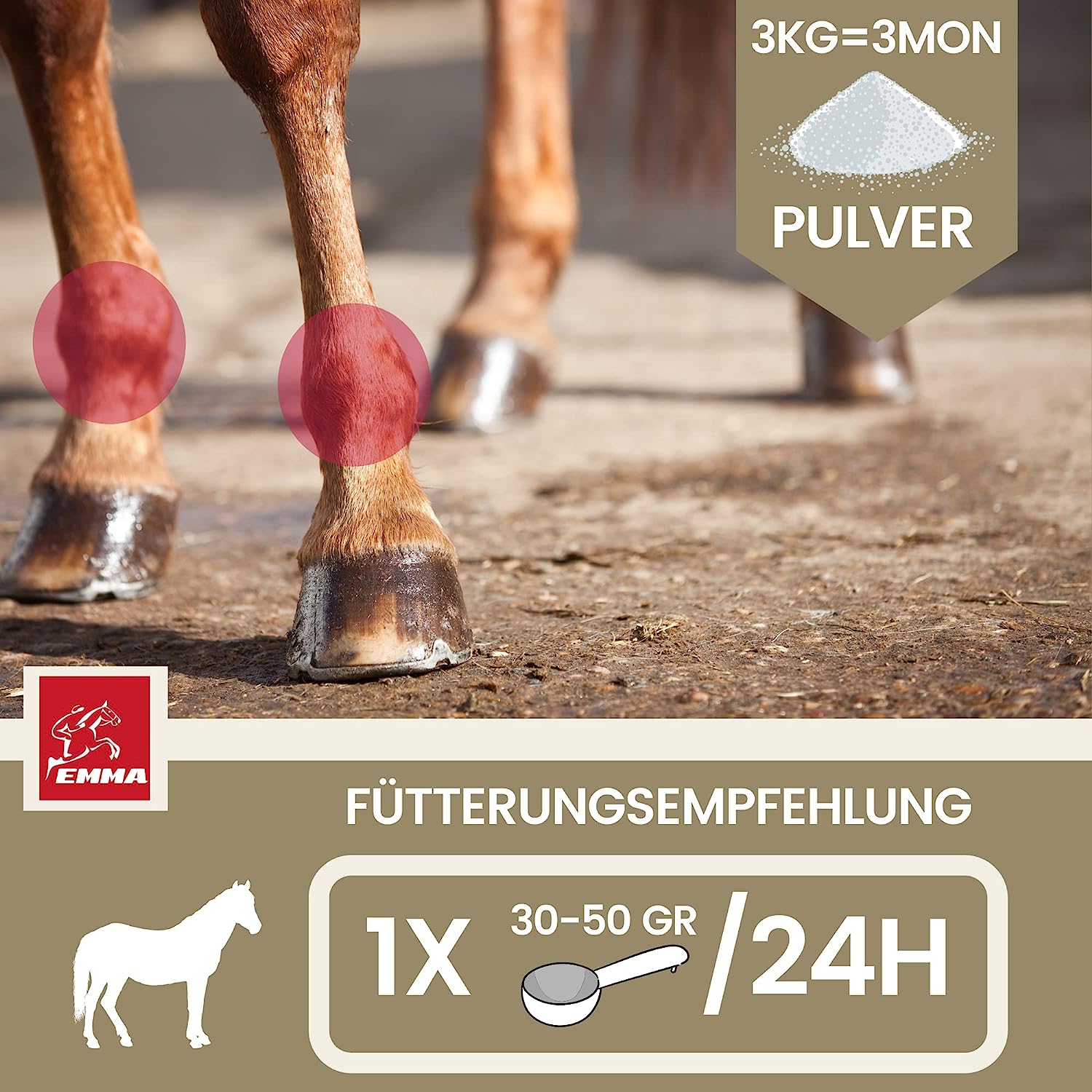 MSM Pulver I Gelenk Pulver für Pferde plus MSM Pferd - Knochen-Gelenk-Komplex mit Calcium Vitamin D C Vitamin K I Pulver zur Stärkung & Bildung Gelenke, Knochen, Knorpel, Sehnen und Bindegewebe 3Kg