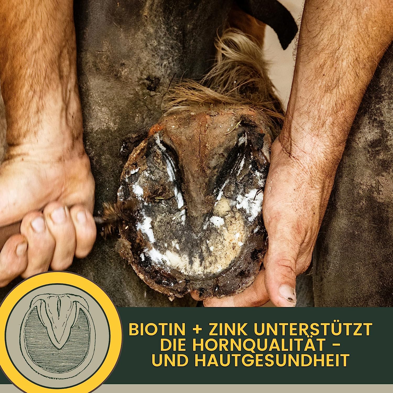 Mineralfutter komplex für Pferde, B-Vitamine Biotin, Zink 5 Kg