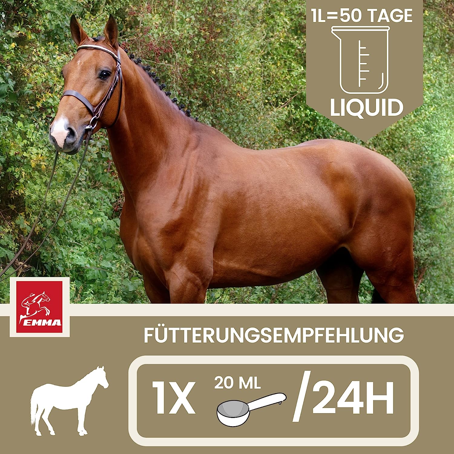  EMMA Muscosanol 10 E VITAL Reiskeimöl Leinöl 1L 30ml für Pferde Plus Vitamin E  Aminosäuren Pferd  Vitamin E komplex  Muskelaufbau Pferd Muskel Plus Öl Pferd  VIT E Pferd ohne Selen Lysin Aufbaufutter Zusatz Pferdefutter.jpg