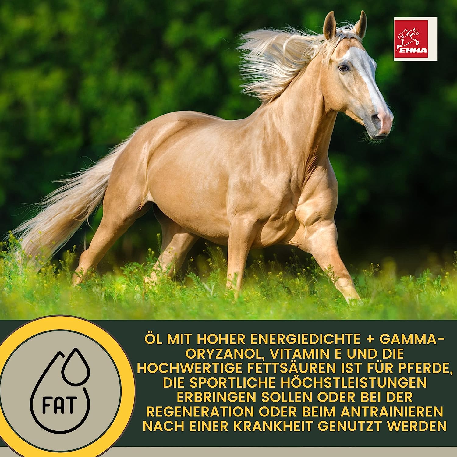  EMMA Muscosanol 10 E VITAL Reiskeimöl Leinöl 1L 30ml für Pferde Plus Vitamin E  Aminosäuren Pferd  Vitamin E komplex  Muskelaufbau Pferd Muskel Plus Öl Pferd  VIT E Pferd ohne Selen Lysin Aufbaufutter Zusatz Pferdefutter.jpg