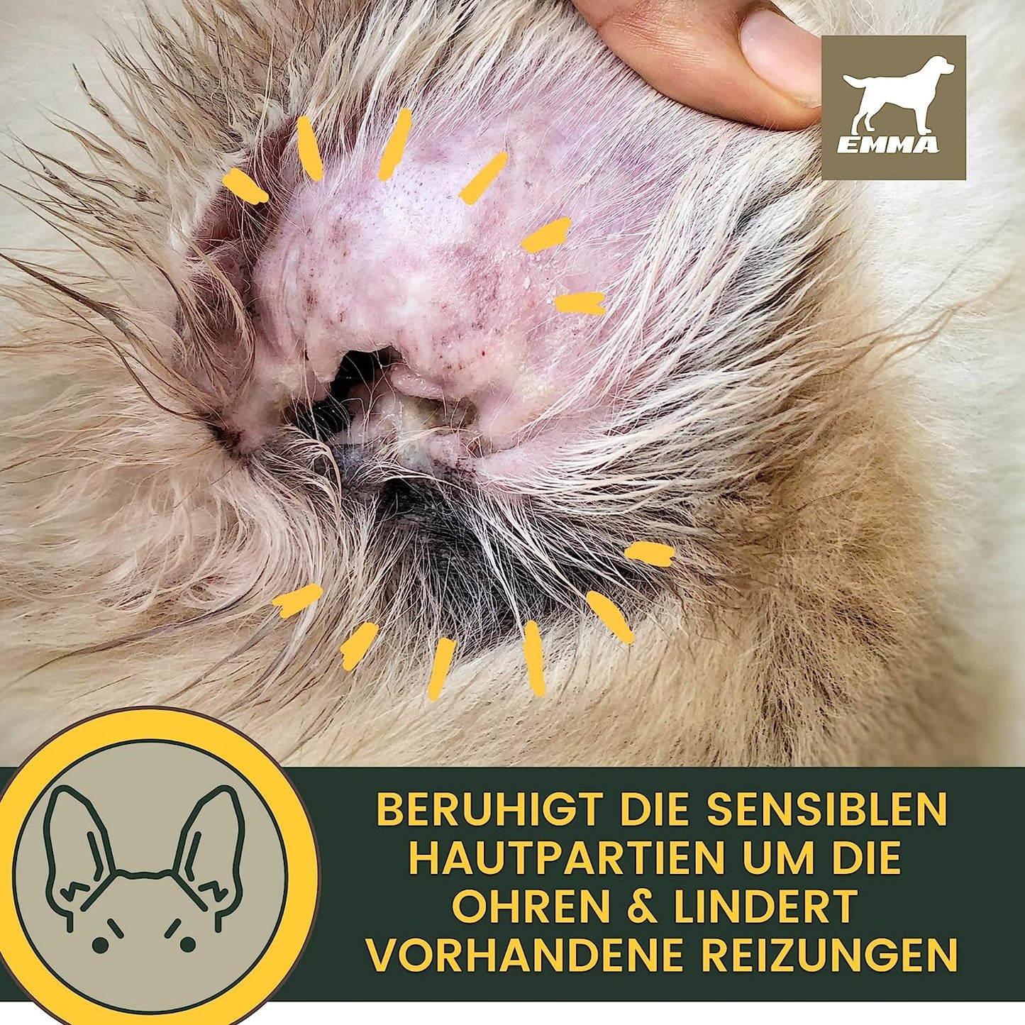 Ohrenreiniger Hund • Ohren Reinigung Tropfen • Ohrentropfen für Hunde gegen Juckreiz • milde Ohrpflege mit Kamille • Ohrreiniger bei Ohrenentzündung Mittel gegen Schmutz Ohrenschmalz Entferner 100ml.png