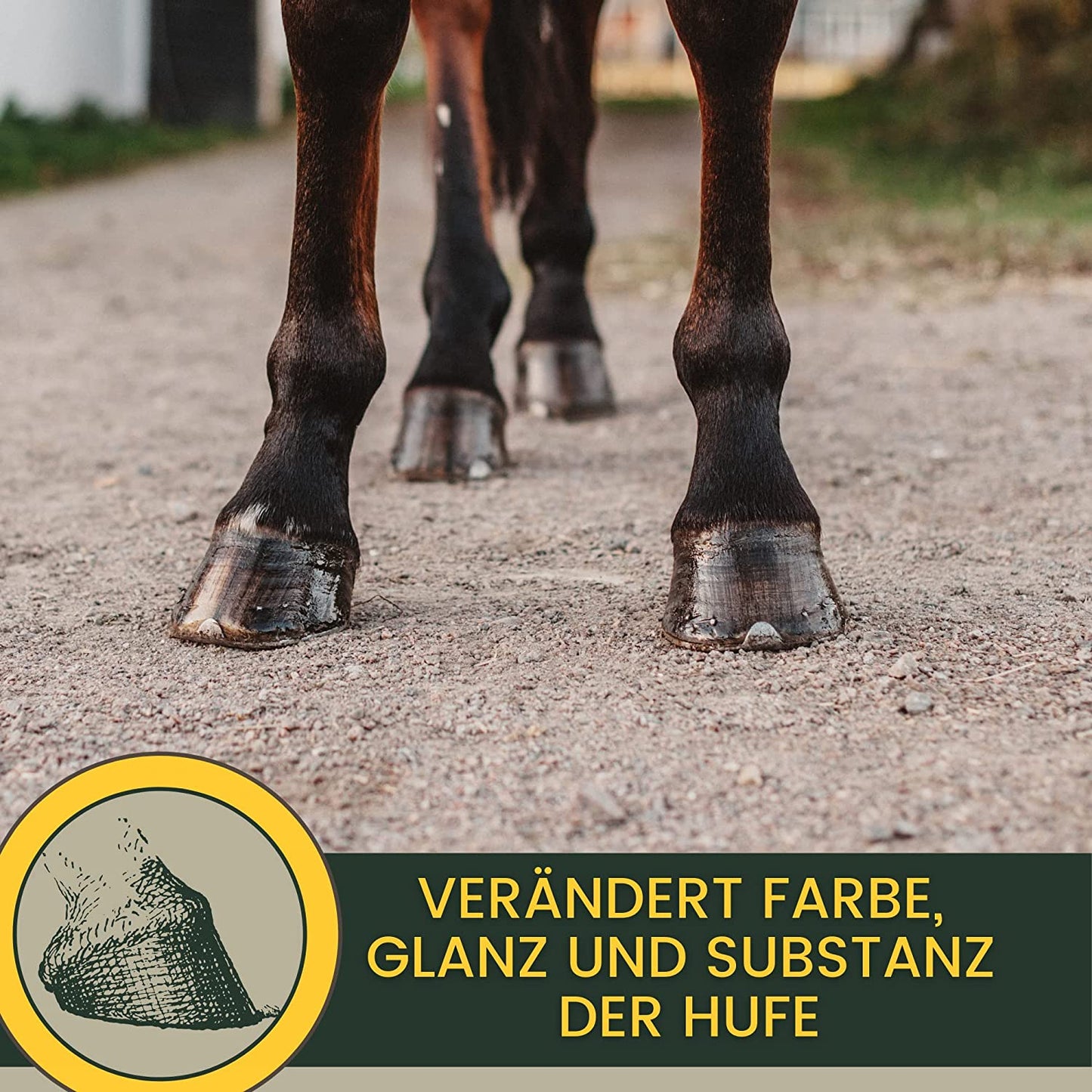 Hufoel-Pferde-mit-Pinsel-Strahlpflege-Hufbalsam-Erste-Hilfe-Set-Hufpflege-Huffett-Hufgel-Hornwachstum-Huffestiger-trockene-rissige-Hufe2.jpg