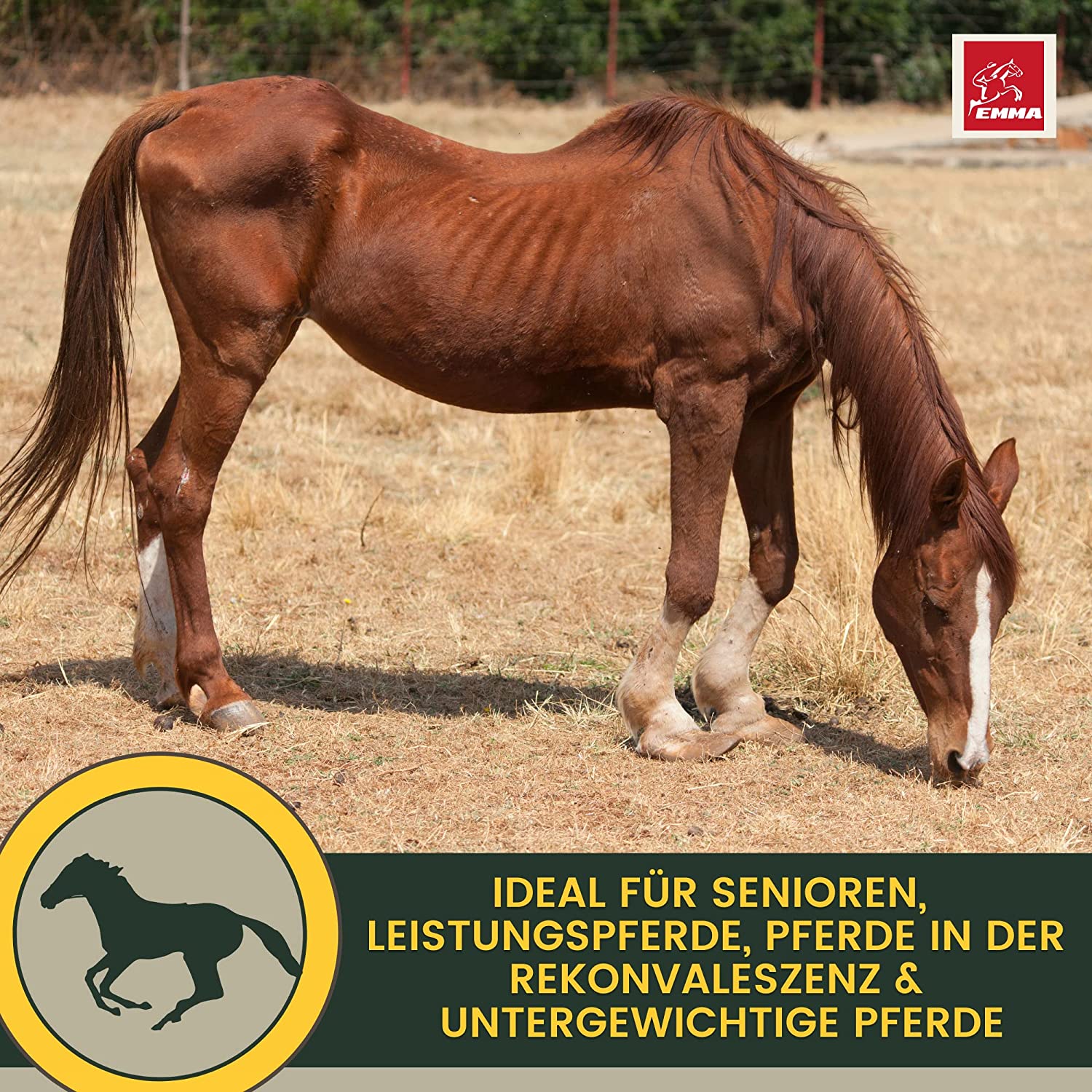 EMMA PERFORMANCE AUFBAUFUTTER 22soja aufbaufutter pferdefutter7.jpg