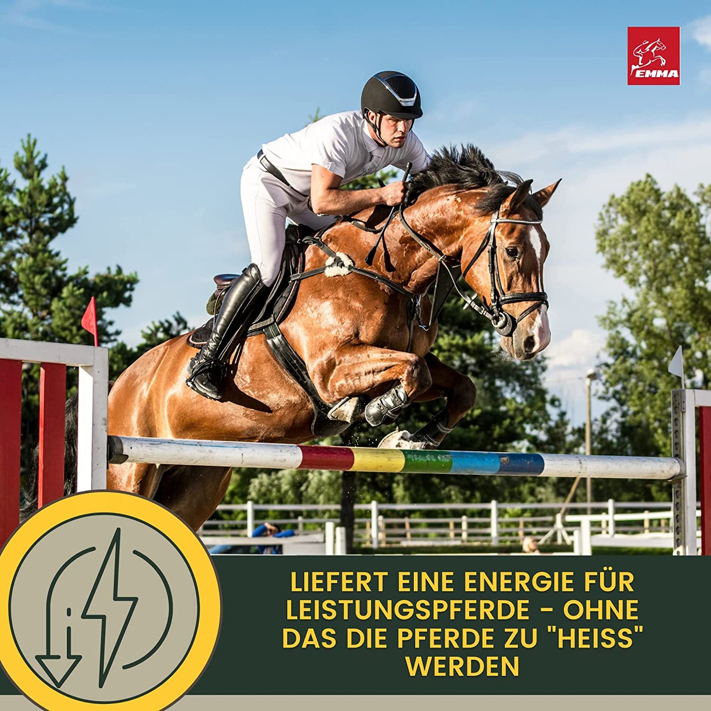 EMMA PERFORMANCE AUFBAUFUTTER 22soja aufbaufutter pferdefutter7.jpg