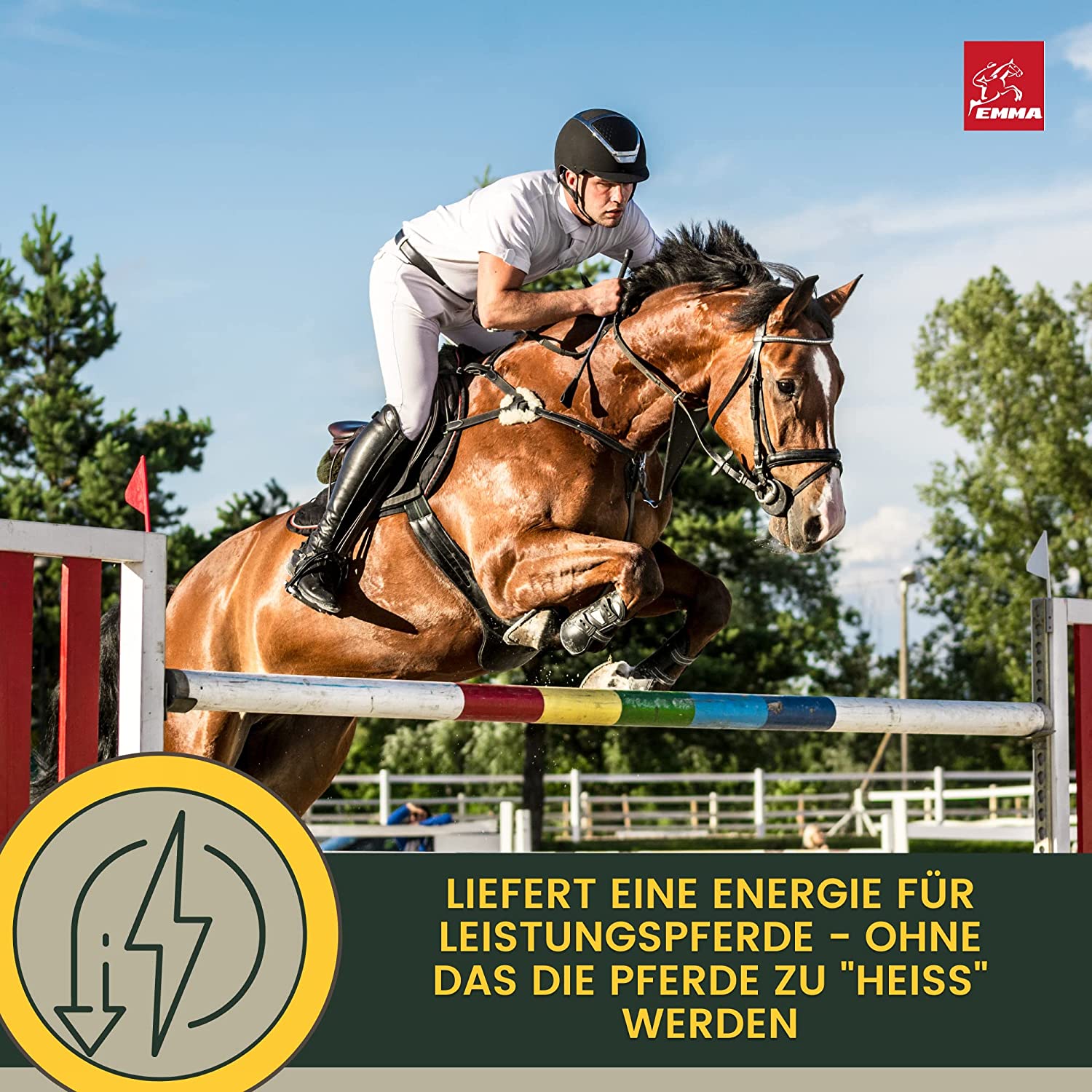 EMMA PERFORMANCE AUFBAUFUTTER 22soja aufbaufutter pferdefutter7.jpg