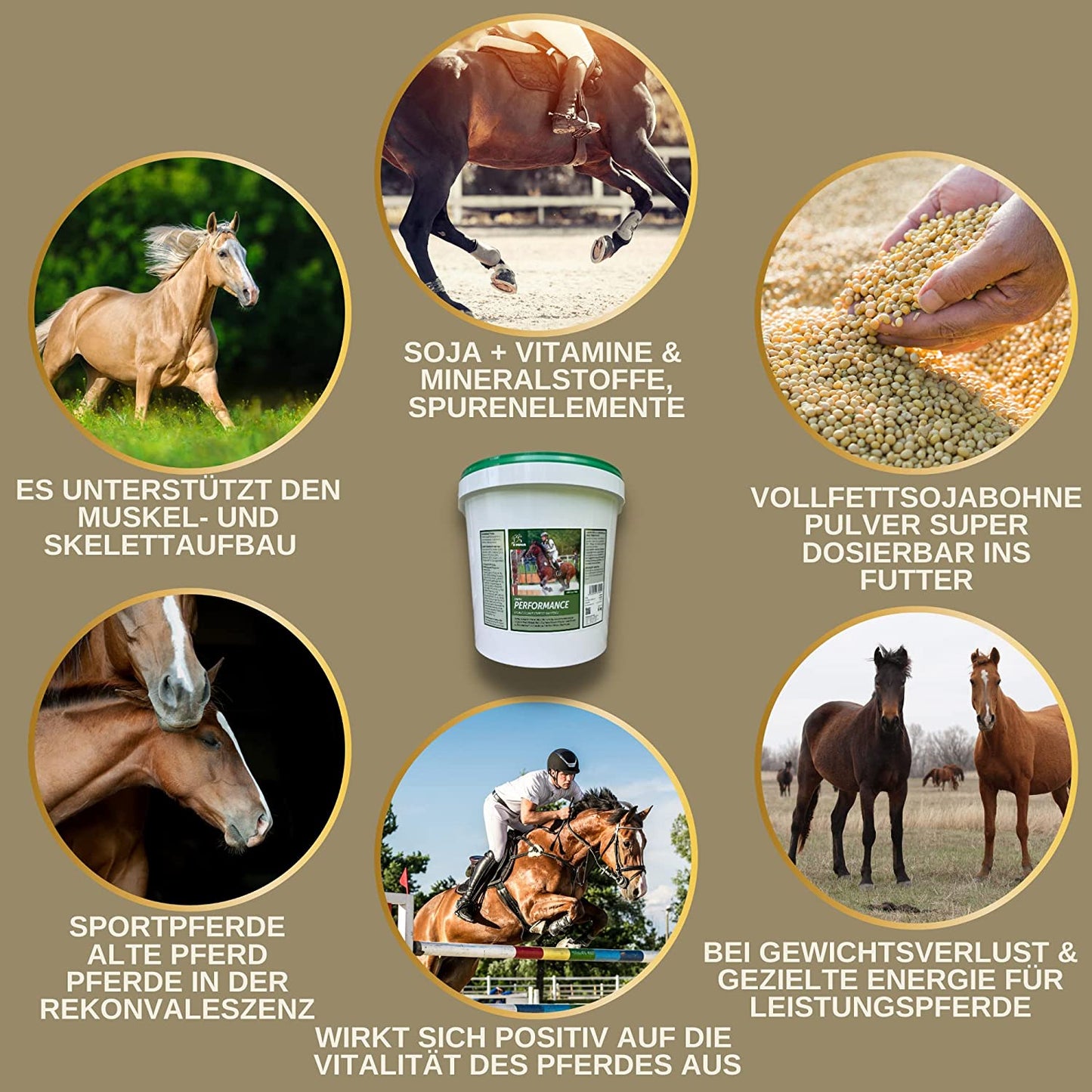 EMMA PERFORMANCE AUFBAUFUTTER 22soja aufbaufutter pferdefutter7.jpg