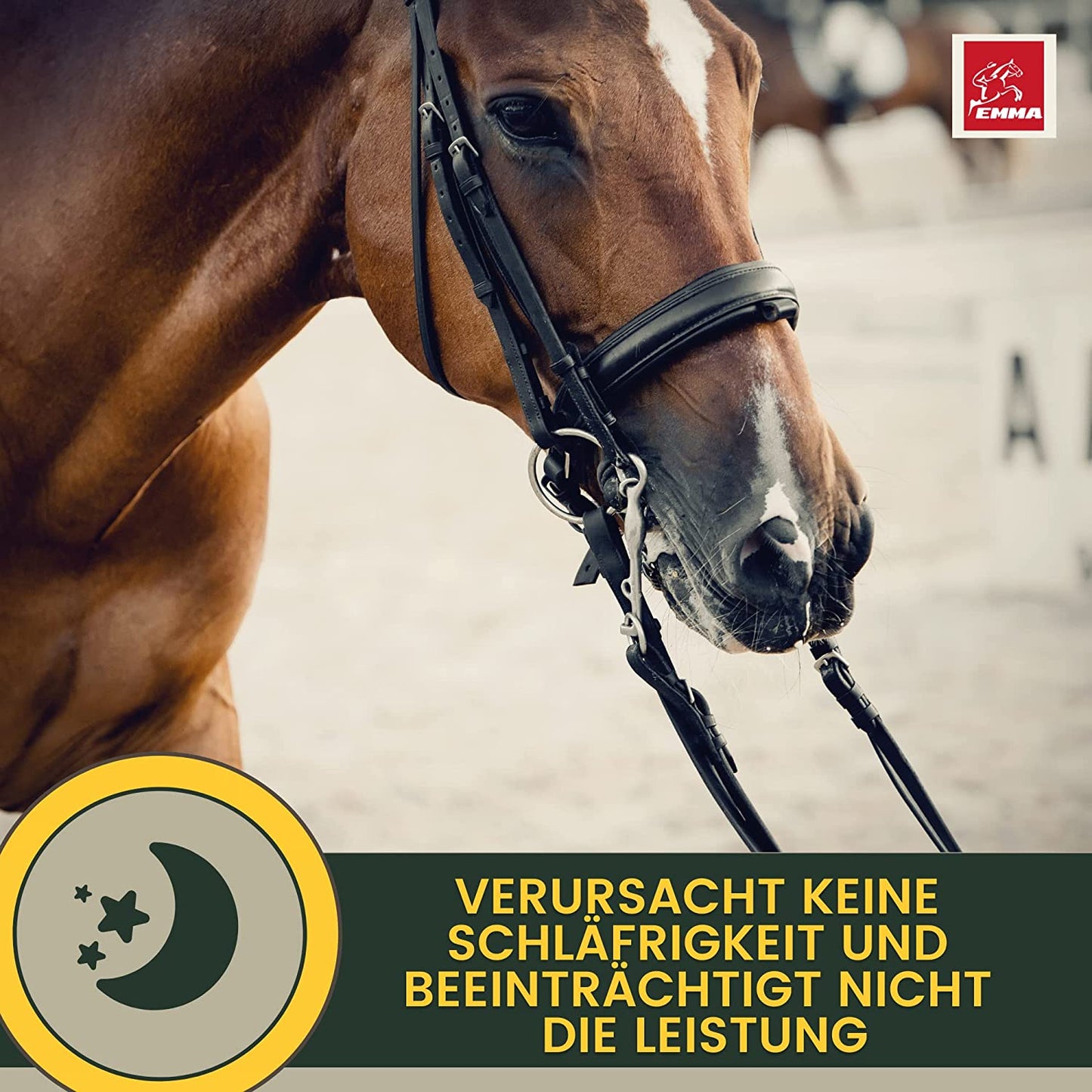 EMMA Magnesium Pferd Vitamin B12 I CALM I Anti-Stress zur Beruhigung Nerven I L Tryptophan flüssig I Vit B 12 bei Angst Relax I für Transport I unterstützt Gelassenheit nervöse Pferd Pony hochdosiert 