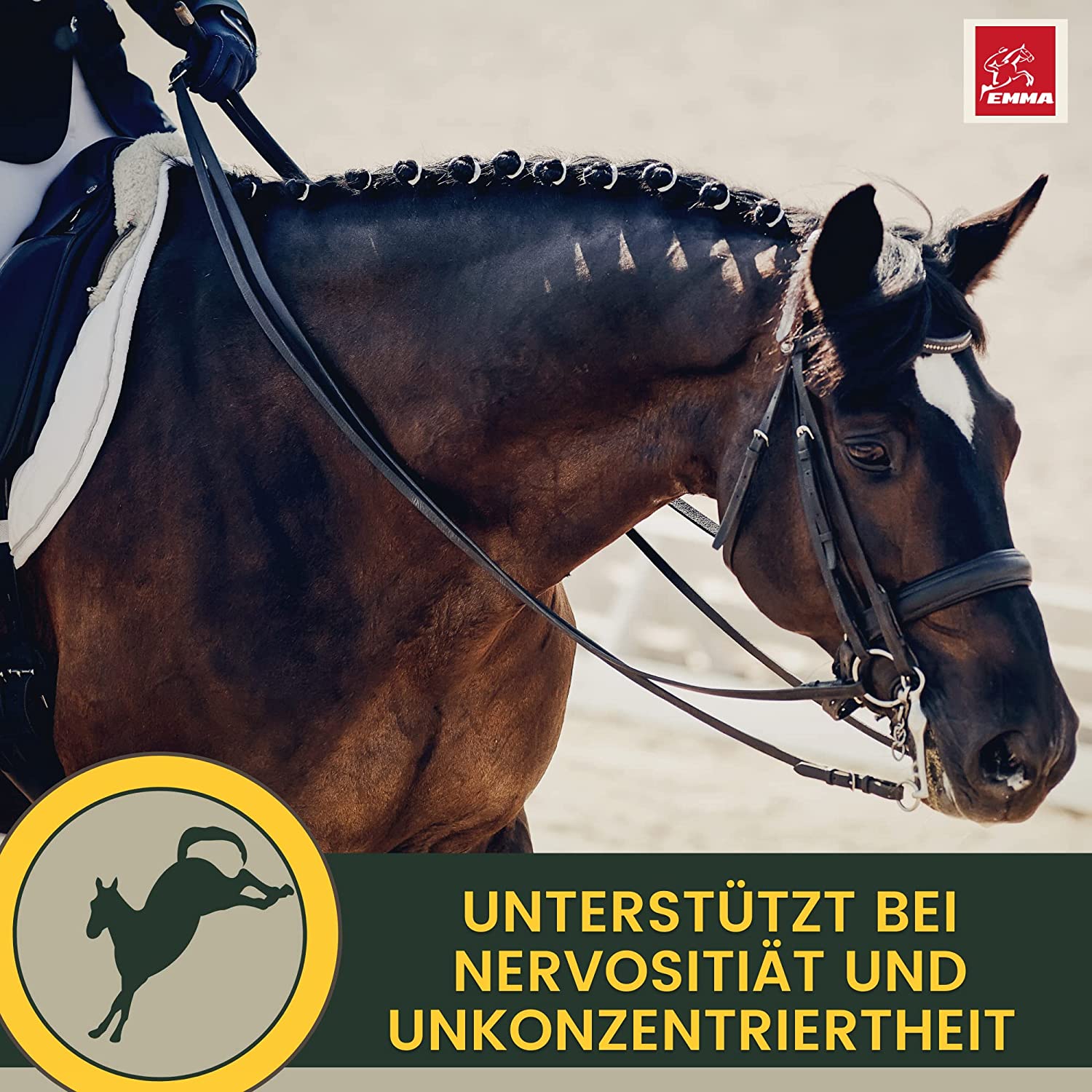 EMMA Magnesium Pferd Vitamin B12 I CALM I Anti-Stress zur Beruhigung Nerven I L Tryptophan flüssig I Vit B 12 bei Angst Relax I für Transport I unterstützt Gelassenheit nervöse Pferd Pony hochdosiert 