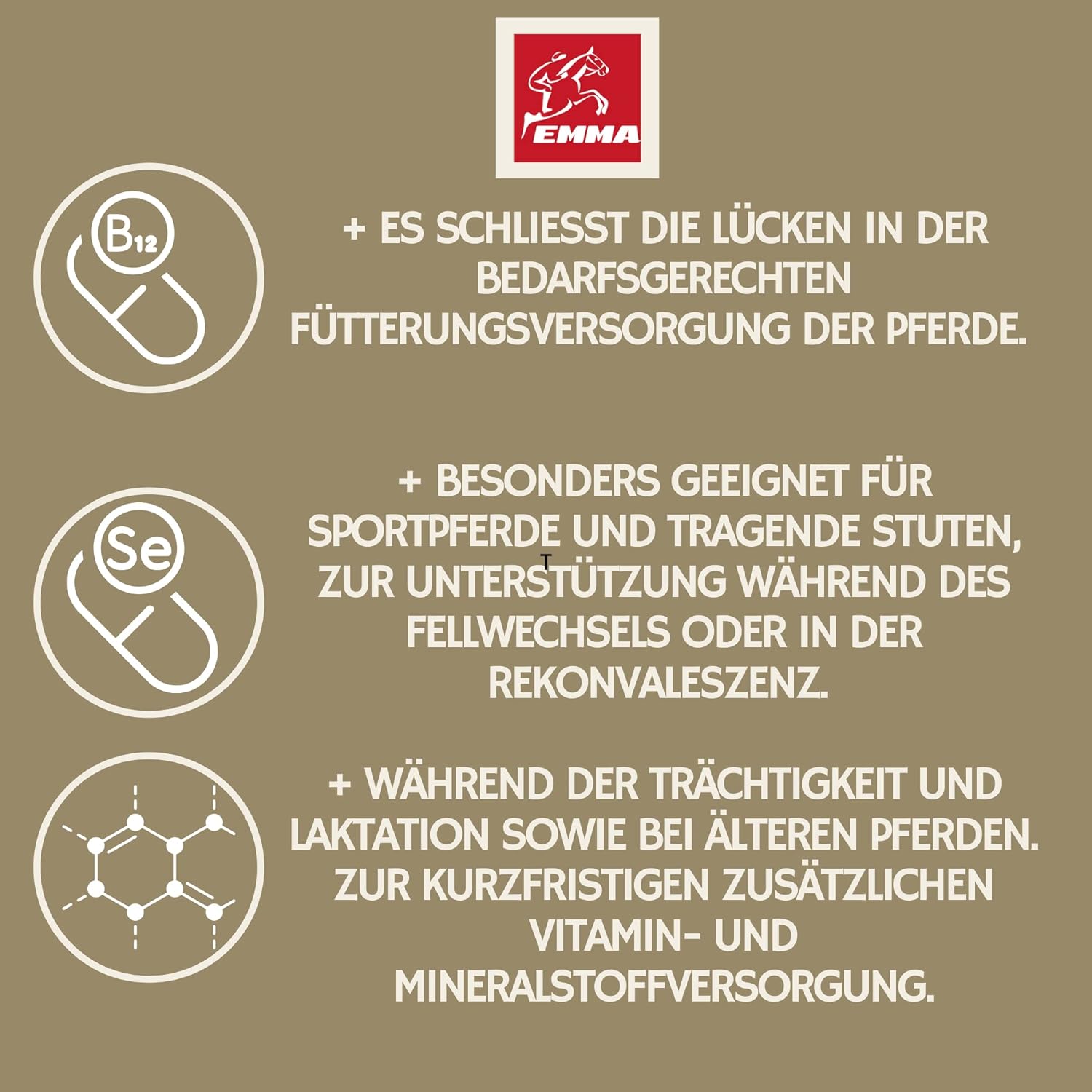  EMMA Vitamin Fluid  Pferde Vitamine  Booster I Mineralfutter für Pferde Liquid I B-Vitamine I Vitamin E b komplex B12 Eisen Selen Zink Pferd I Vitamin b1 b6 Pferd Immunsystem stärken Aufbaufutter Pferd Stuten 1L 30ml  Kopie.png