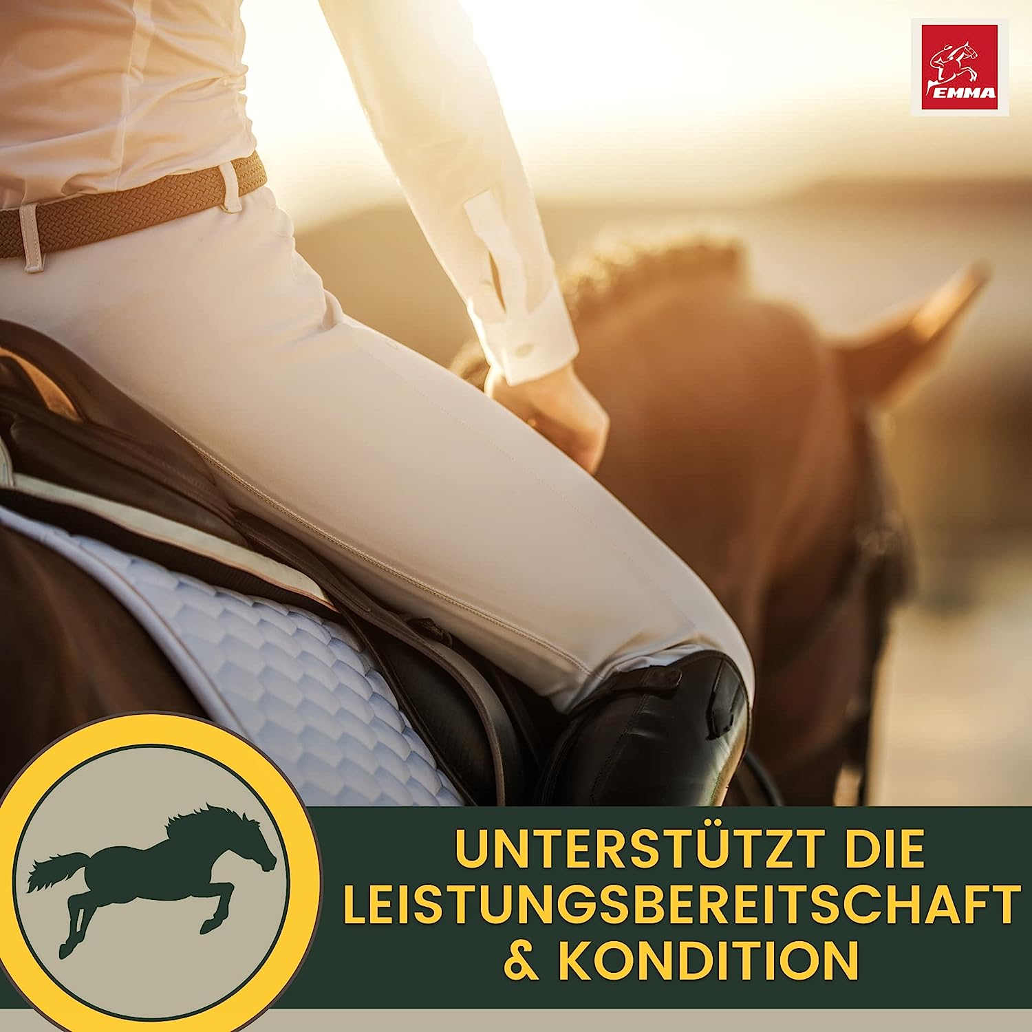 Vitamin Paste für Pferde I Energie Booster B-Vitamine I Vitamin B-komplex Pferd B12 Lysin Zink Pferd I Mineralien I Immunsystem stärken I Vitamin E Pferd Spurenelemente hochdosiert Oldie Stuten 1St1.jpg