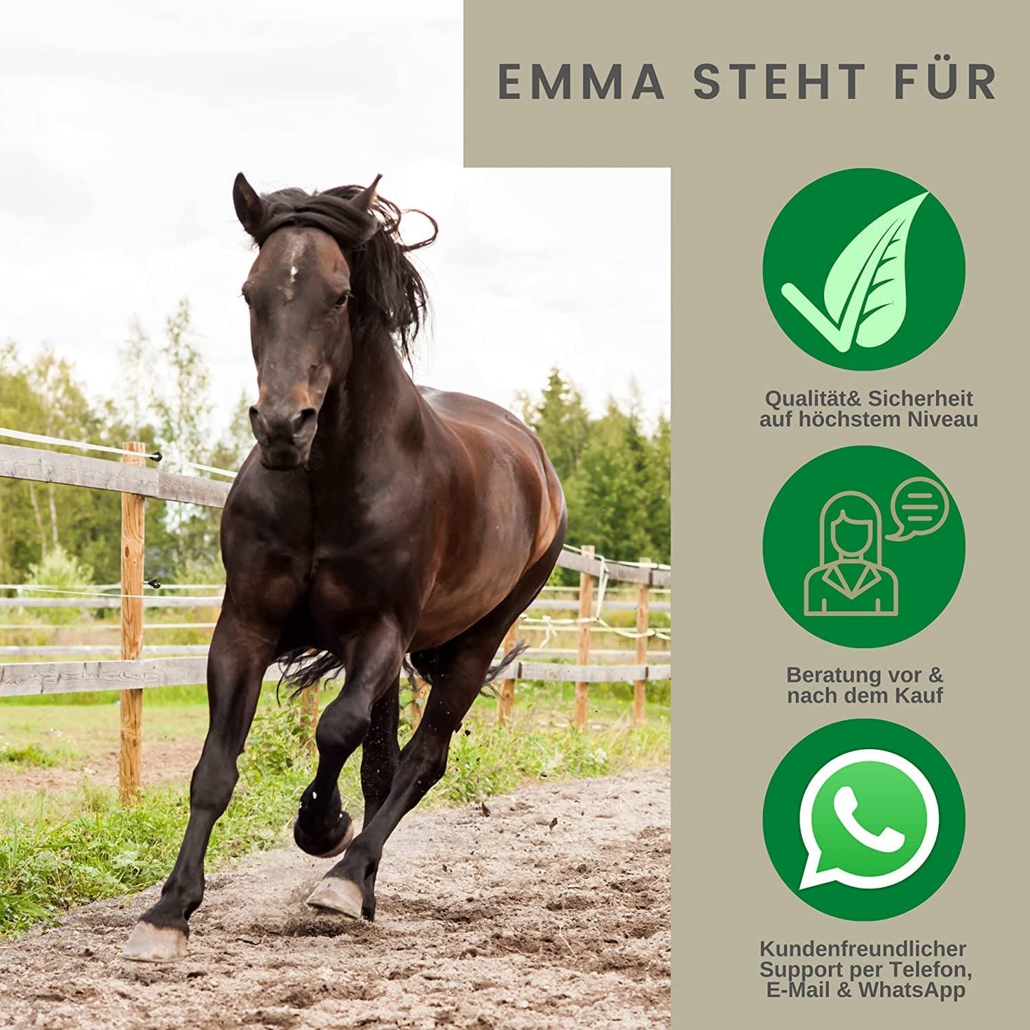 EMMA Pferde Leckerlies Hufbalsam Mähnenspray für Pferde EMMA Set 66 Leckerli Pferd Banane - Glitzerspray für Pferde - Pferdezubehör - Huffett Hufpflege Pferdepflege für Pferde Set 3tlg für Fell Mähne Schweif Hufe 