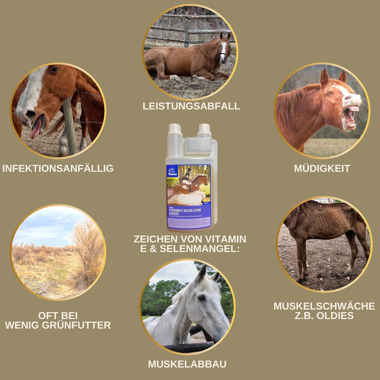  Selen Vitamin E Lysin Liqud + Booster für Pferde gesunde Muskulatur erhalten Pferd Vitamin E-Selen Lysin Amino Energy für Konditon Leistung Muskelaufbau