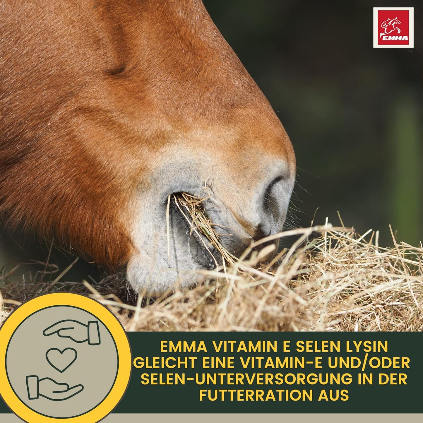  Selen Vitamin E Lysin Liqud + Booster für Pferde gesunde Muskulatur erhalten Pferd Vitamin E-Selen Lysin Amino Energy für Konditon Leistung Muskelaufbau