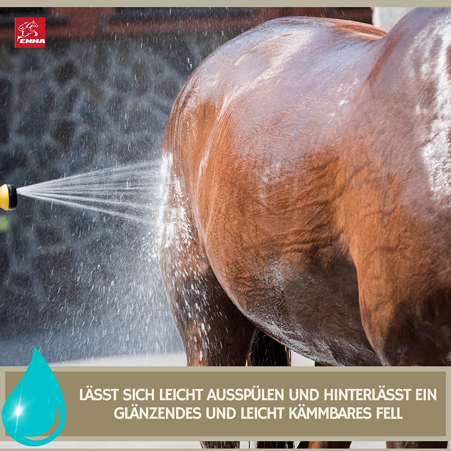 EMMA Pferdeshampoo Shampoo für Hunde Pferde 2 * 500ml I mildes Pferde Shampoo ph neutral Kamille I Pferdepflege glänzendes Fell I Hundeshampoo gegen Geruch I Mane n Tale Shampoo I Fellpflege sensitiv .jpg