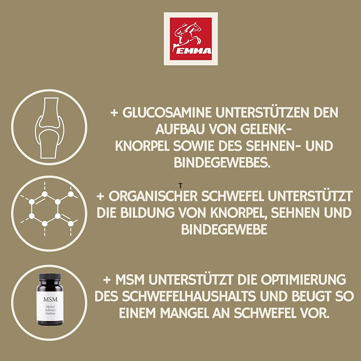 EMMA MSM Pferd 1L Liquid Glucosamin Chondroitin Hochdosiert mit MSM I Gelenk komplex Erhaltung der Knochen & Gelenke Sehnen Bänder stärken mit Glucosamin Chondroitin MSM Kollagen anstatt MSM Pulver