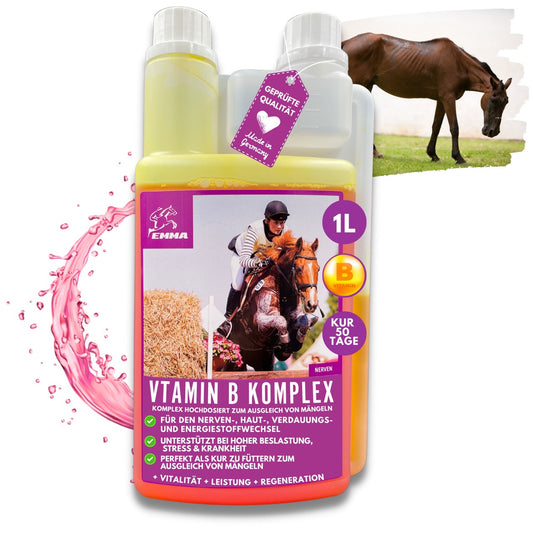 EMMA Vitamin B a Komplex Pferd 1L Liquid I Vitamin B hochdosiert für Pferde  Pony mit Vitamin B1, B2, B6, B12, B-Vitamine I Vit b complex Unterstützung Muskulatur, Immunsytem, Nerven- Energiestoffwechsels vitamin b komplex 1).jpg