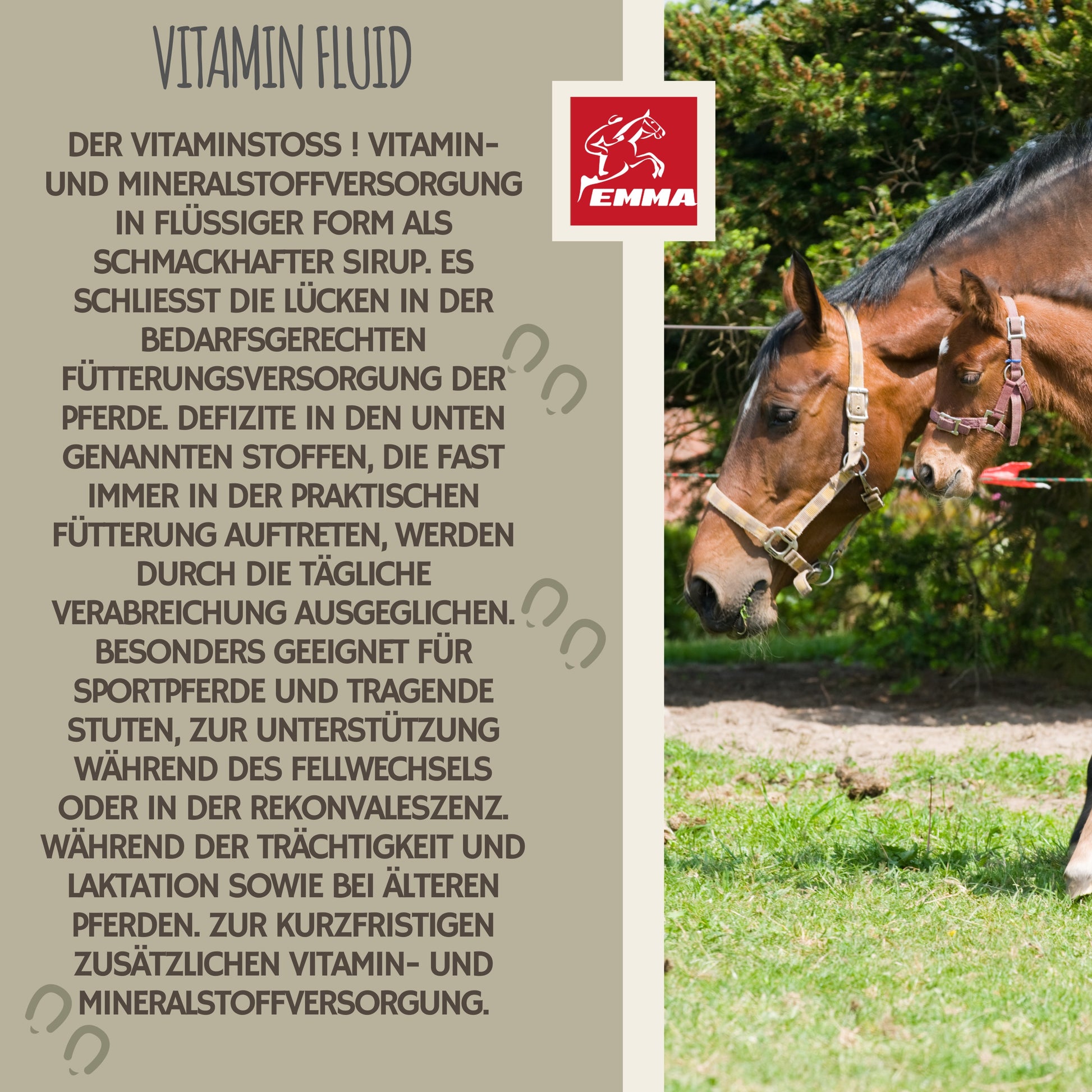 Vitamin Liquid, B Vitamine fürs Pferd, B12, B6, B2, B1  1L