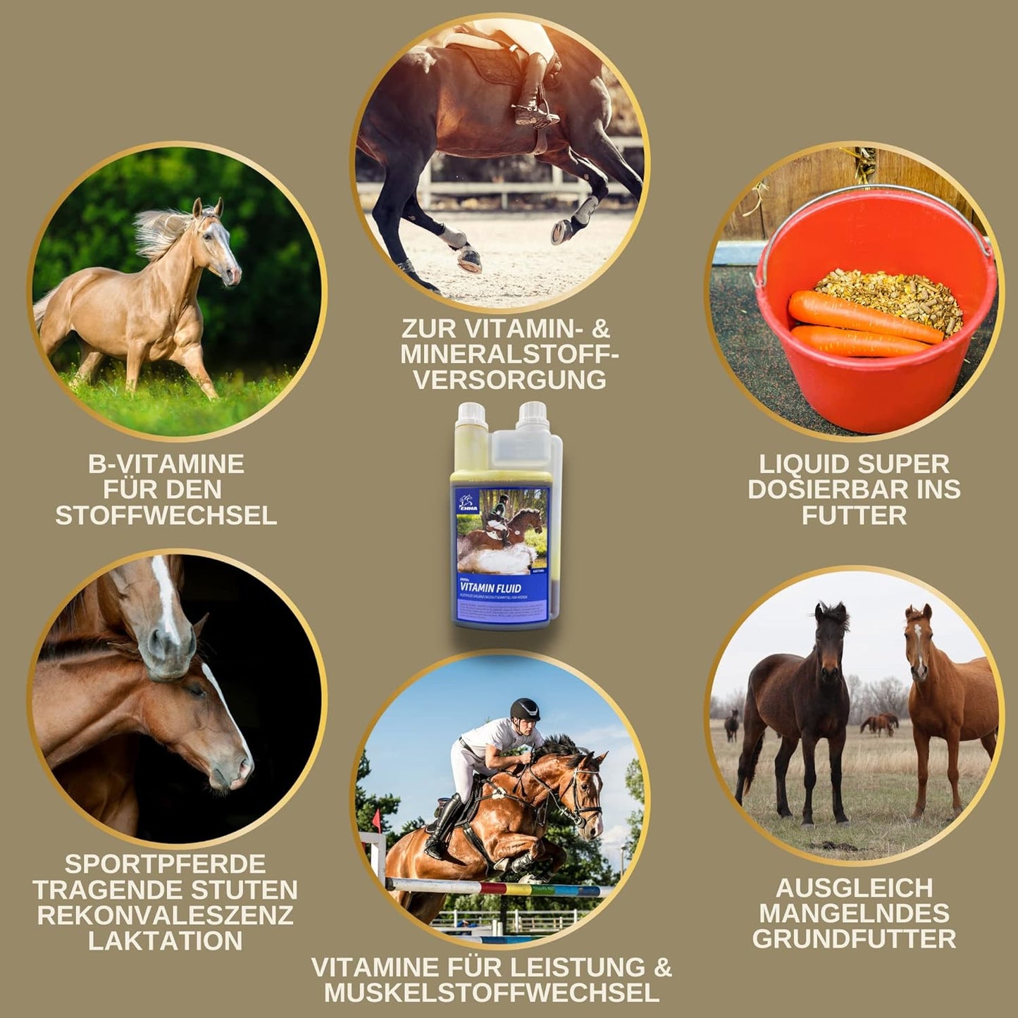  EMMA Vitamin Fluid  Pferde Vitamine  Booster I Mineralfutter für Pferde Liquid I B-Vitamine I Vitamin E b komplex B12 Eisen Selen Zink Pferd I Vitamin b1 b6 Pferd Immunsystem stärken Aufbaufutter Pferd Stuten 1L 30ml  Kopie.png