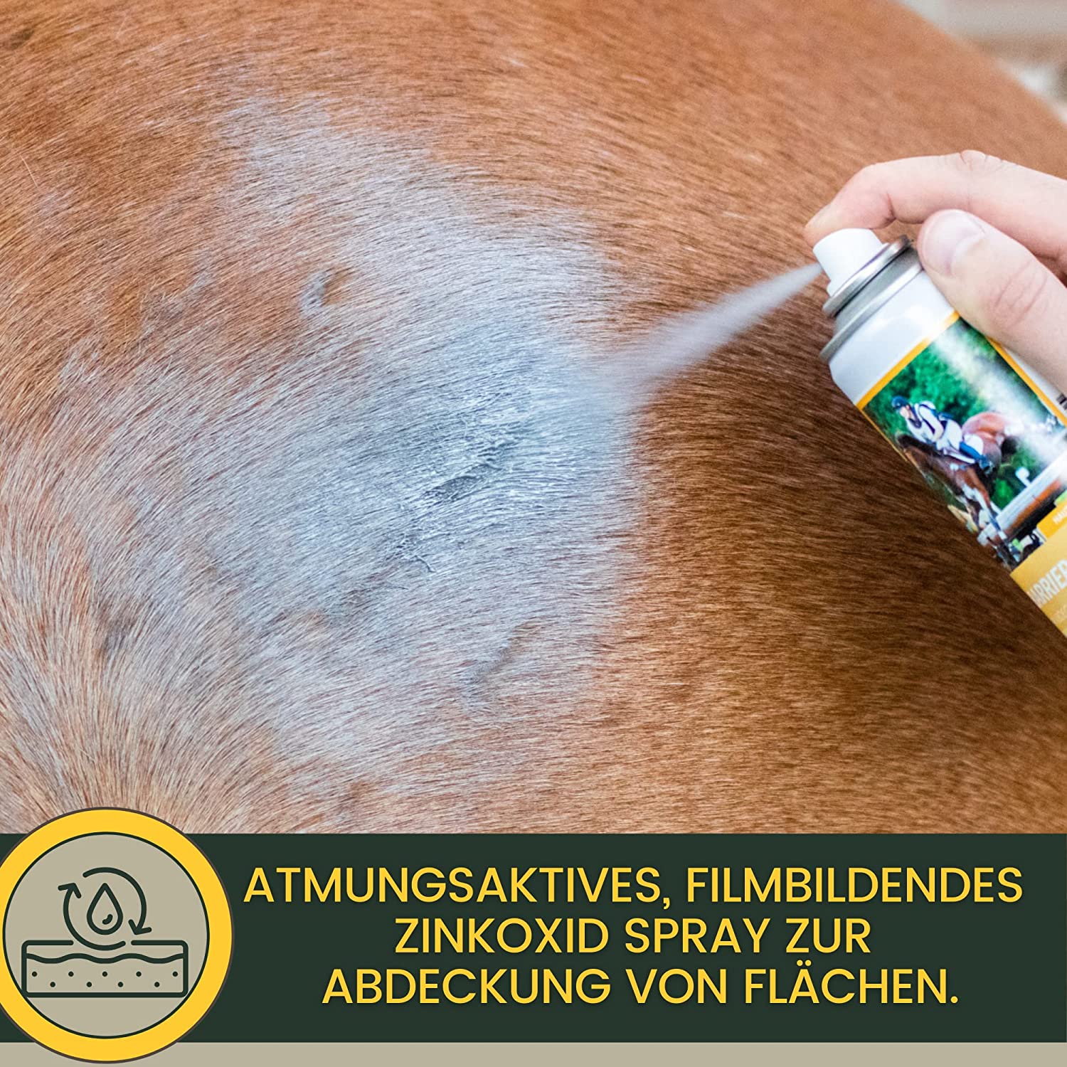 EMMA Lebertran-Zinksalbe 1 I Wundsalbe Wundcreme Hund Katze Pferd I Zinkpaste offene Wunde I Ekzem Zink Salbe gegen Juckreiz I Zinkcreme Wundheil I Zinkbalsam Wundheilung I Wund und Heilsalbe Tiere 