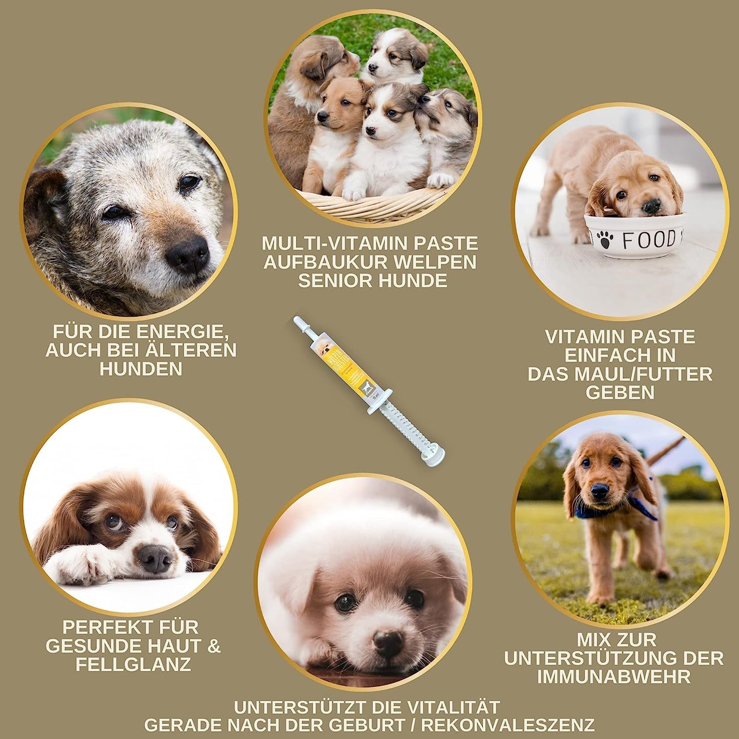 EMMA Multi-Vitamin Paste Hund I Welpen Aufbau-Paste I Vitaminpaste für Hunde I Vitamin A C E D3 B1 B2 B6 B Komplex I Aufbaufutter Kur Junge Senior Hunde Vitamin-Booster I Immunsystem stärken 