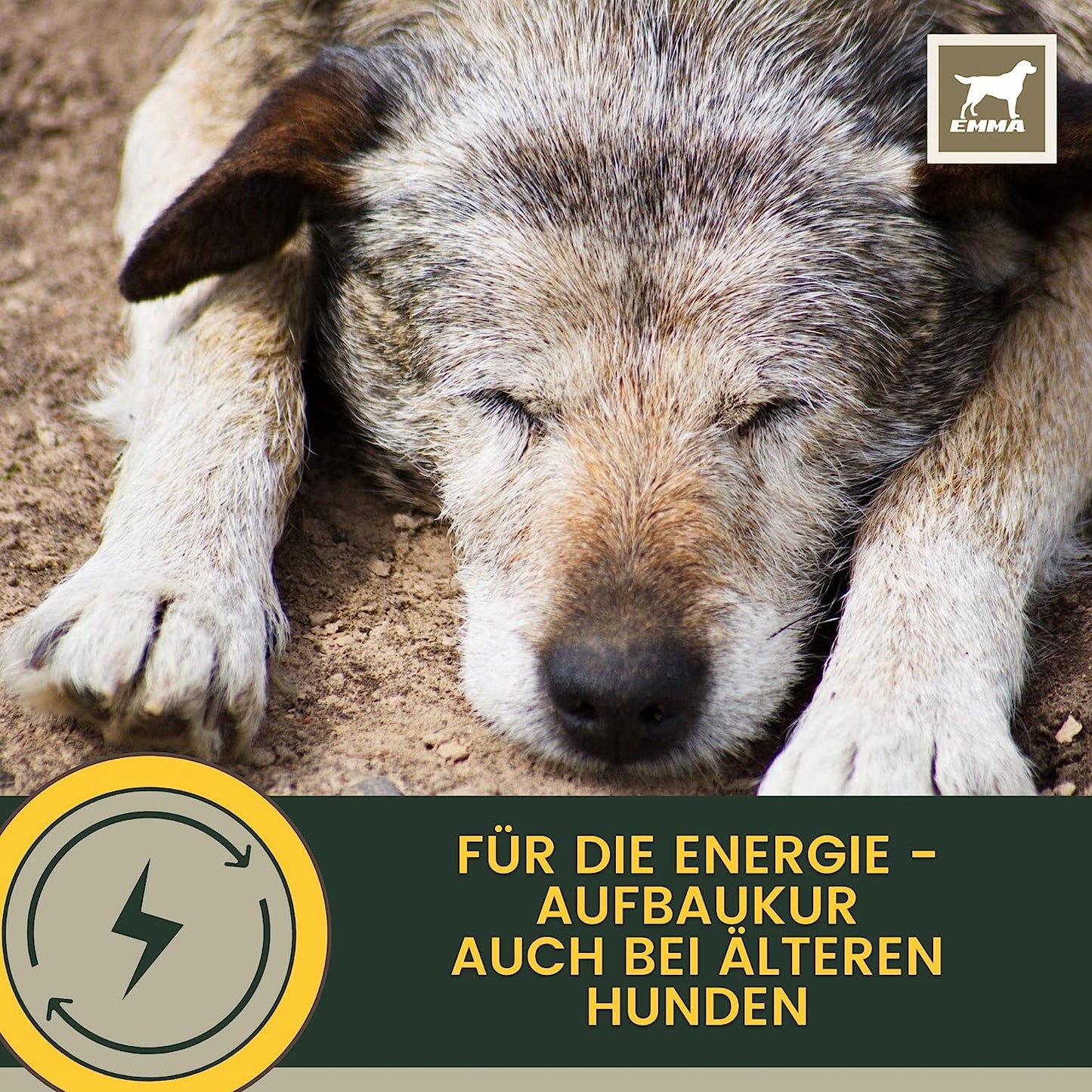 EMMA Multi-Vitamin Paste Hund I Welpen Aufbau-Paste I Vitaminpaste für Hunde I Vitamin A C E D3 B1 B2 B6 B Komplex I Aufbaufutter Kur Junge Senior Hunde Vitamin-Booster I Immunsystem stärken 