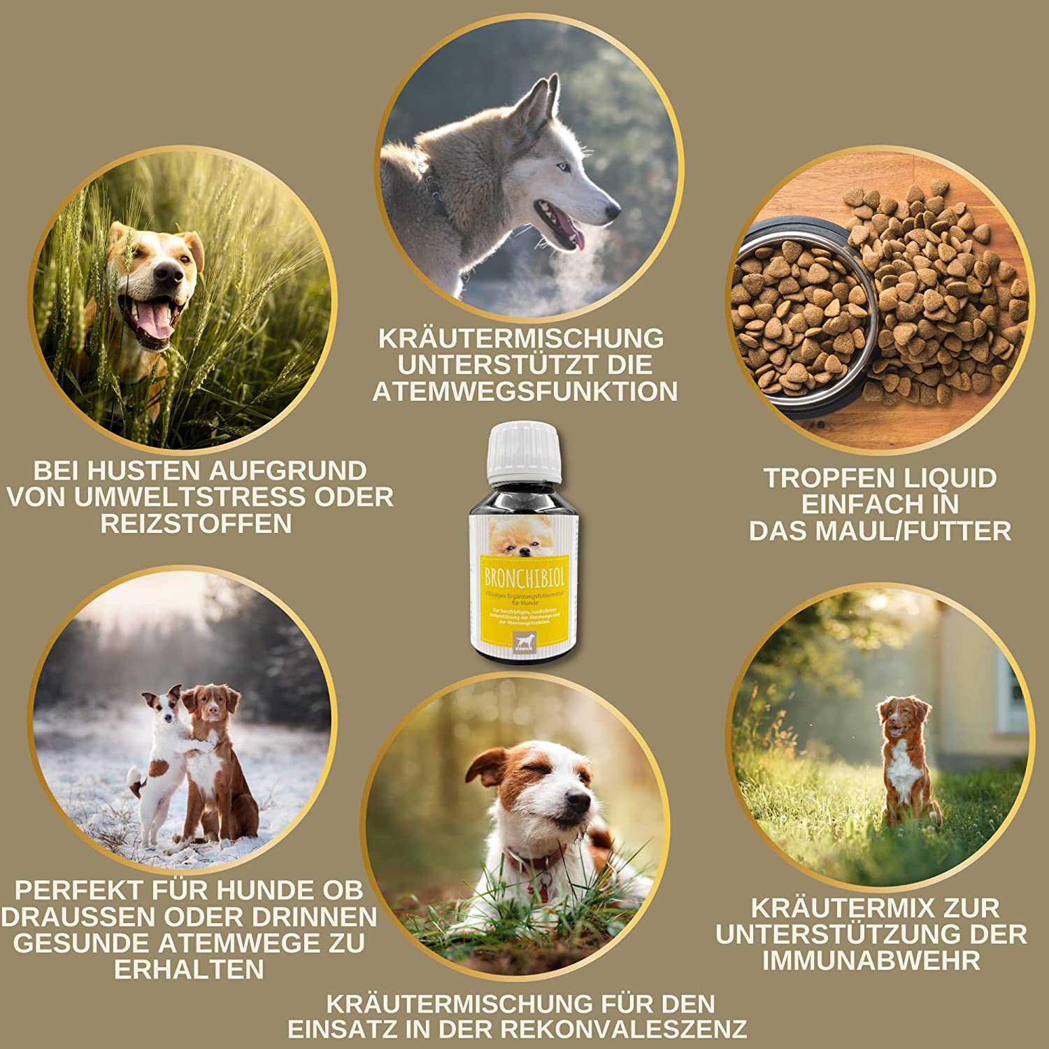  EMMA bronchiobol  Hustensaft für Hunde I Thymian Bronchial Kräuter I Tropfen + Anis Fenchel I Hustenmittel Beruhigung Atemwege bei Husten & Erkältung Hund I Schleimlöser für Bronchien Hund I Kräutermischung Hund 100ml4