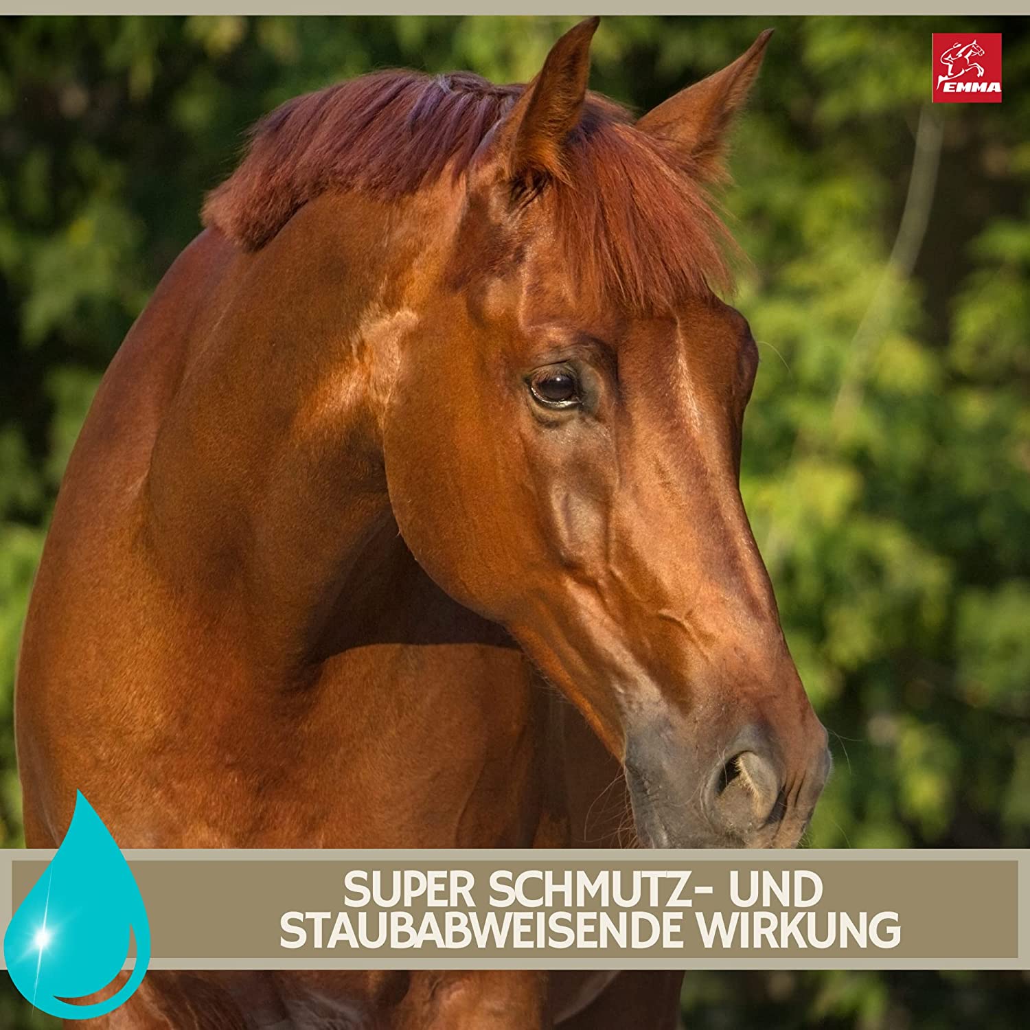 EMMA Mähnenspray für Pferde Schweifspray pink mit Duft für Pferd  Pony I Glitzer Huffet Hufgel pink  Duft I Inhalt Putzbox I Geschenke für Mädchen I Pferdepflegeset für Kinder 2 teilig 