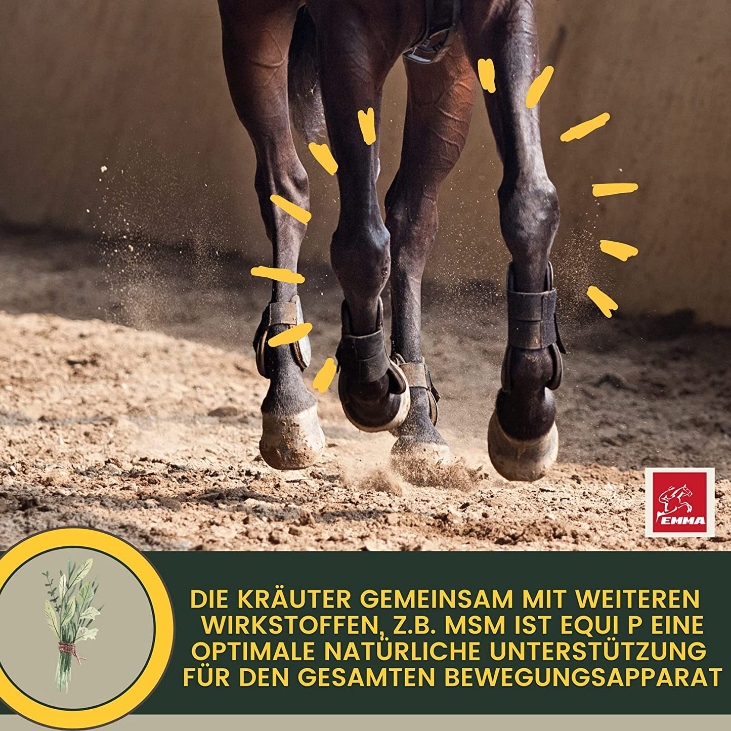 EMMA MSM Pferd Weidenrinde Pferd  Equi P Booster - Vitamin-Paste Plus Glucosamin Chondroitin hochdosiert Pferd - Vitamin C Bierhefe - Bewegungsapparat Gelenke Sehnen Bänder Knorpel Senioren Pferde 2St .png