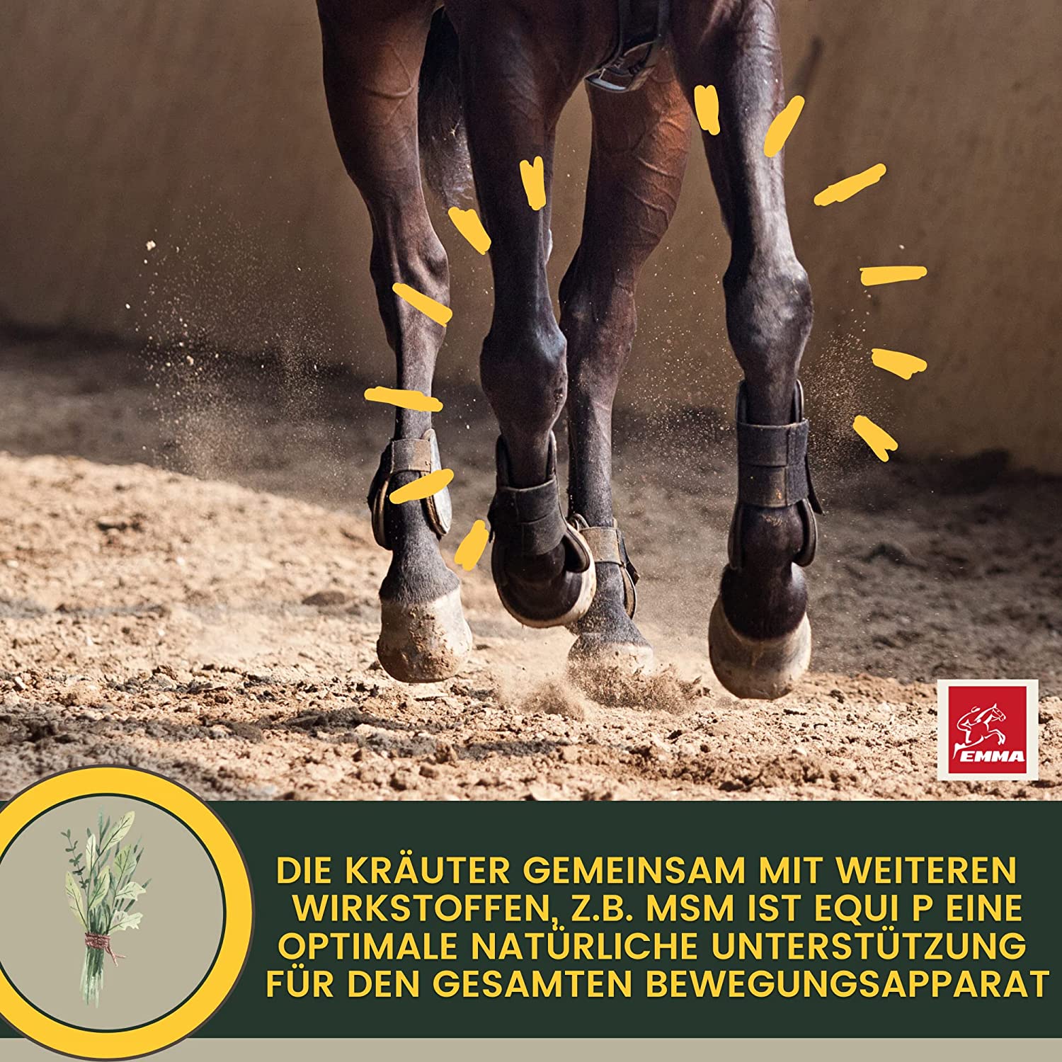 EMMA MSM Pferd Weidenrinde Pferd  Equi P Booster - Vitamin-Paste Plus Glucosamin Chondroitin hochdosiert Pferd - Vitamin C Bierhefe - Bewegungsapparat Gelenke Sehnen Bänder Knorpel Senioren Pferde 2St .png