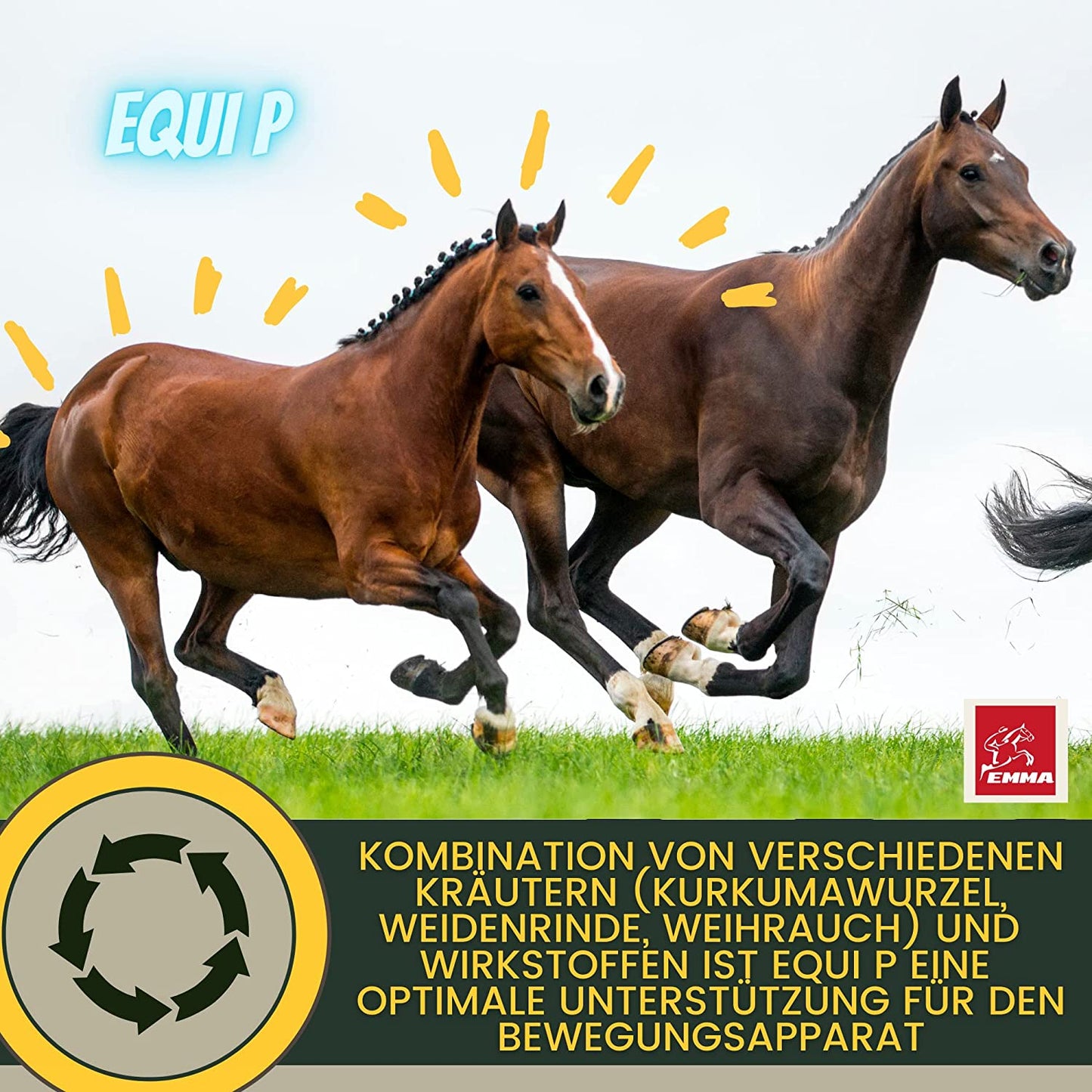 EMMA MSM Pferd Weidenrinde Pferd  Equi P Booster - Vitamin-Paste Plus Glucosamin Chondroitin hochdosiert Pferd - Vitamin C Bierhefe - Bewegungsapparat Gelenke Sehnen Bänder Knorpel Senioren Pferde 2St .png