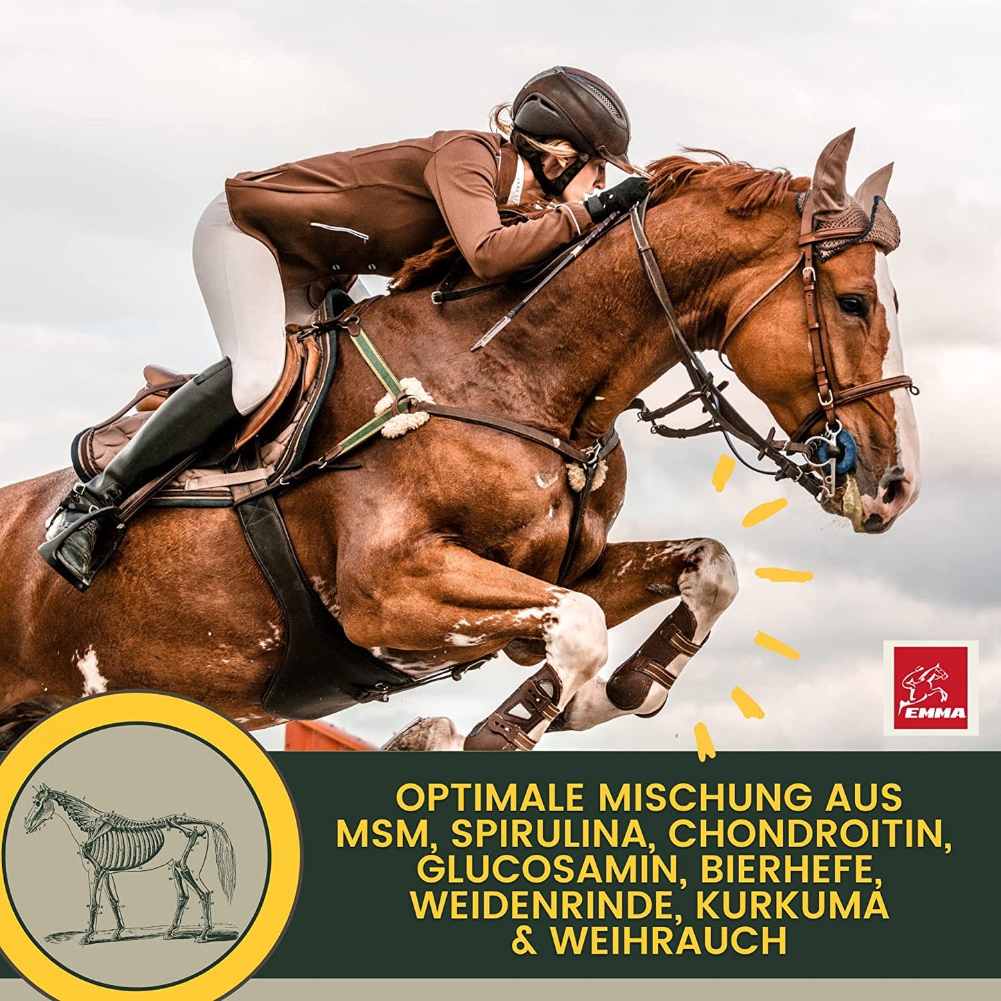 EMMA MSM Pferd Weidenrinde Pferd  Equi P Booster - Vitamin-Paste Plus Glucosamin Chondroitin hochdosiert Pferd - Vitamin C Bierhefe - Bewegungsapparat Gelenke Sehnen Bänder Knorpel Senioren Pferde 2St .png