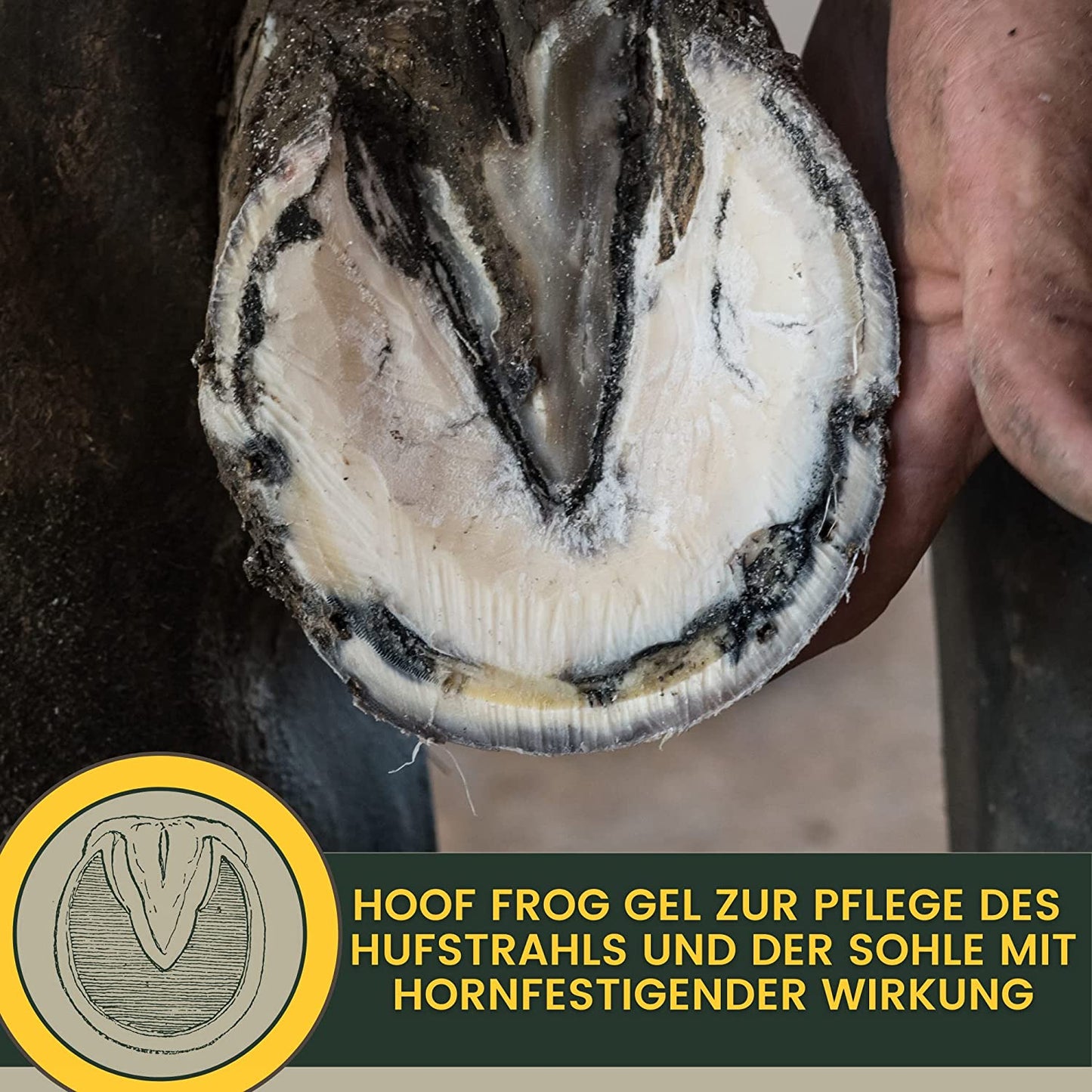 Pferdepflege Set - Mähnenspray mit Duft & Huffett mit Lorbberöl  für Pferde