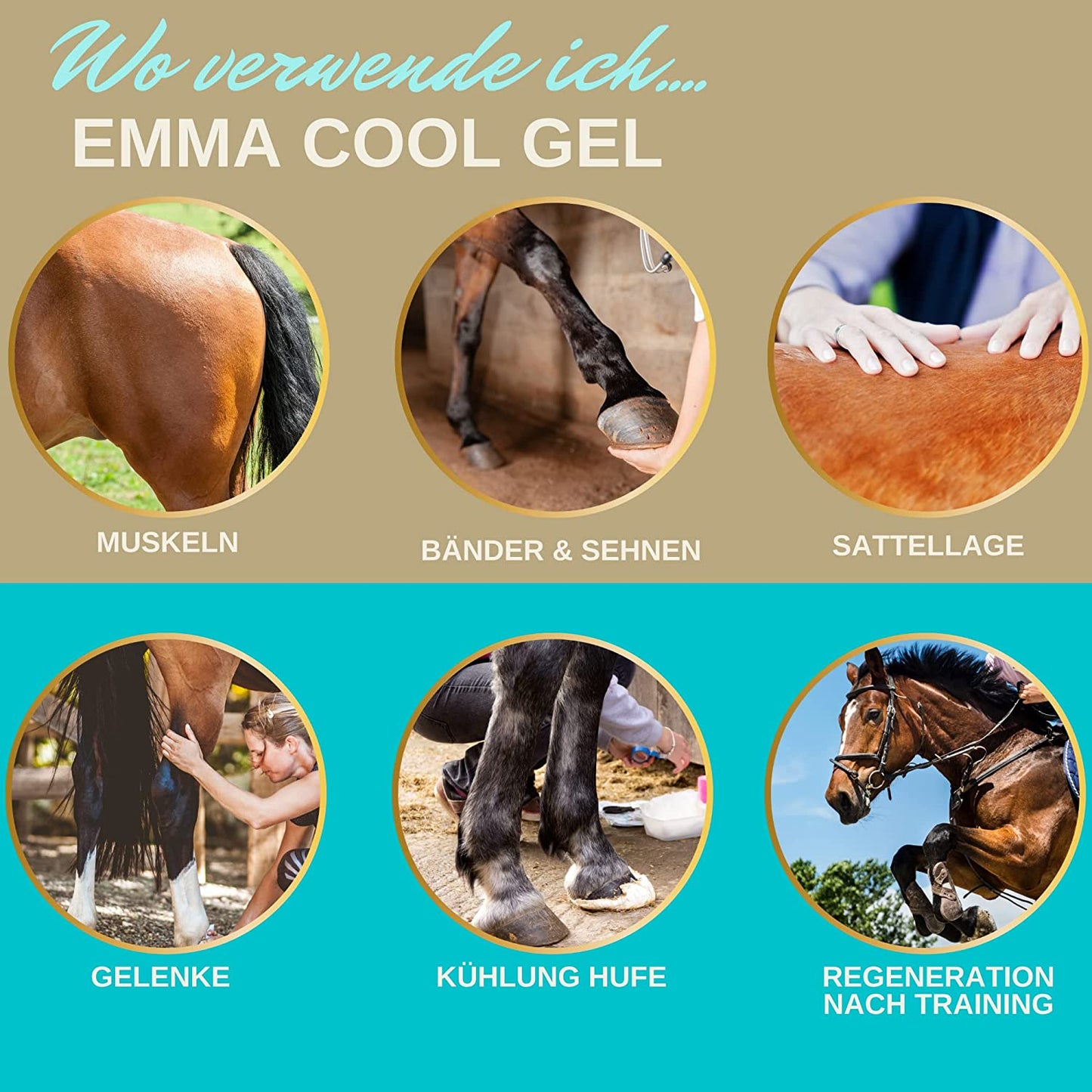 EMMA Kühlgel Pferd I Pferdebalsam kühlend 2*500ml Kühlsalbe Arnika Salbe I Massage Creme für Sehnen Gelenke Muskeln Bänder I Pferdesalbe kühlend extra stark kühlendes Massage Gel  Menthol fürs Pferd .jpg