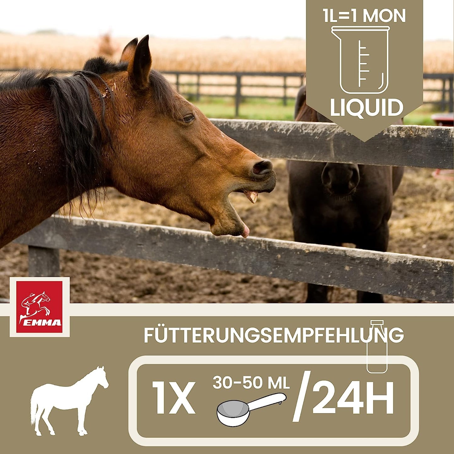 EMMA Breath Sirup Hustensaft Pferd - Sirup Bronchialkräuter Pferd Thymian Fenchel Schleimlöser Pferd I Atemwegskräuter Pferd Husten I bei Husten Pferd freie Atemwege I Atemkräuter I Hustenkräuter Pferd Husten 