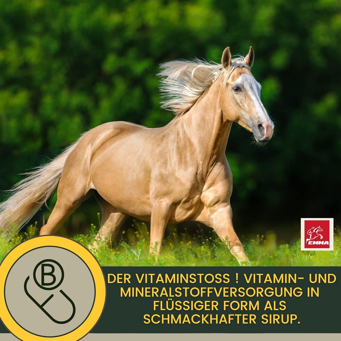 Vitamine für Pferde & Vitaminpaste