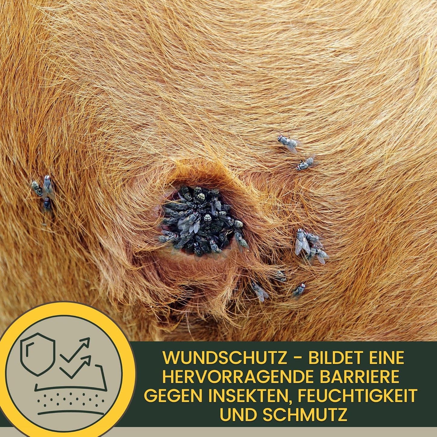 Erste Hilfe Set für Tiere