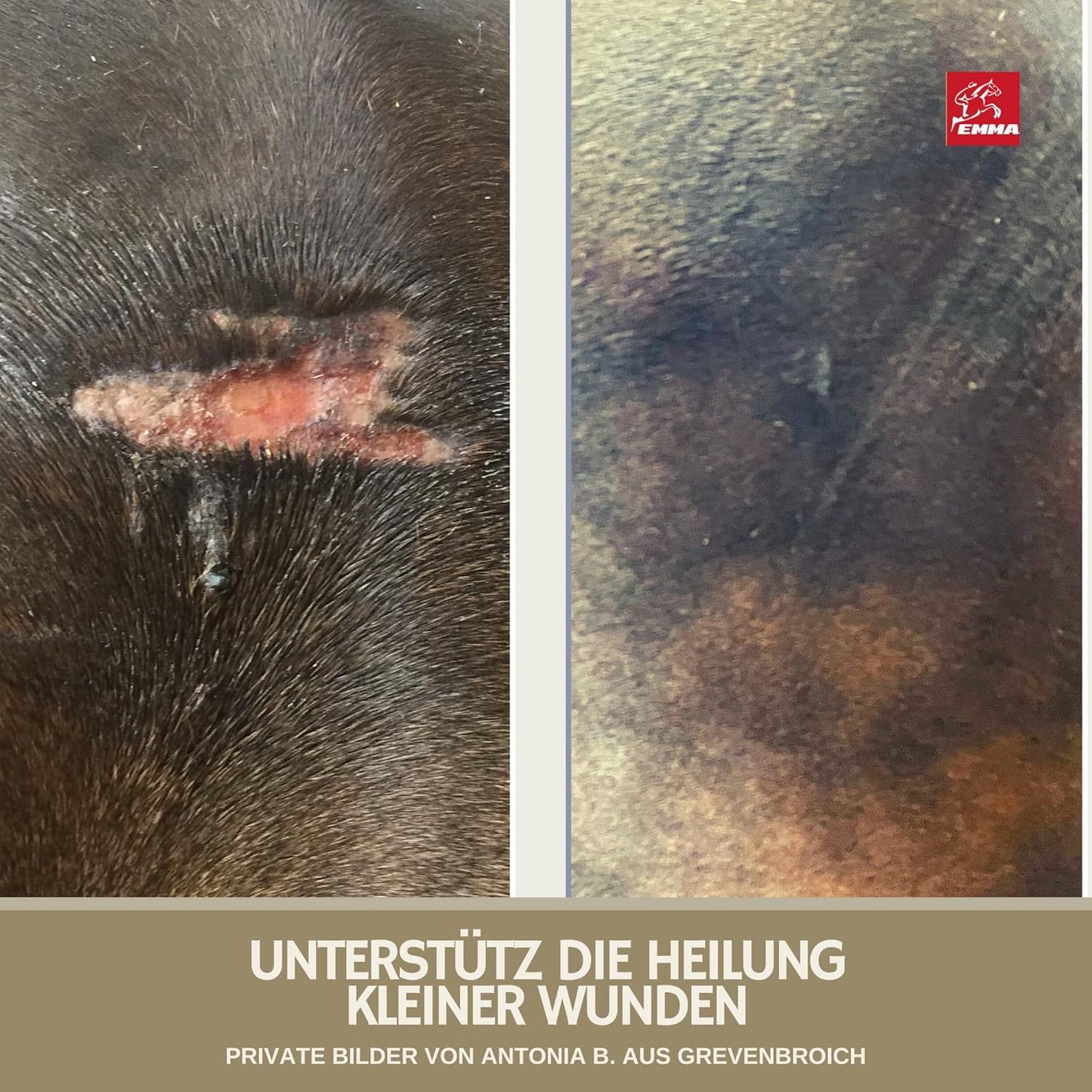 Zinksalbe für Tiere Set