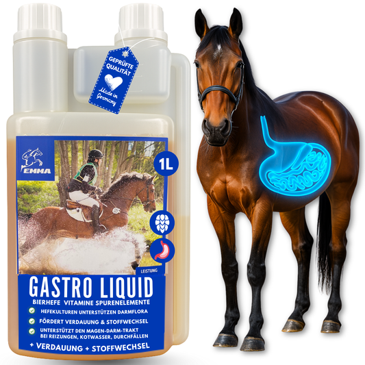 Gastro Liquid fürs Pferd, mit Bierhefe  -prebiotisch- 1L
