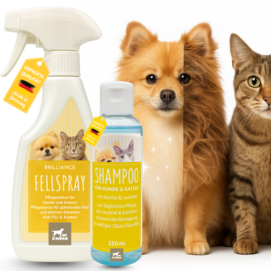 Entfiltzungsspray + Hunde & Katzen Shampoo I Fellpflege I Hundeshampoo mit Kamille gegen Juckreiz