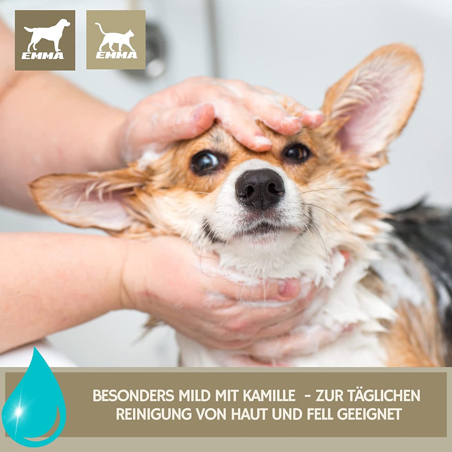 Hundeshampoo & Katzenshampoo + Kamille Lavendel I Fellpflege für Hund & Katzen Welpen  2 * 250ml