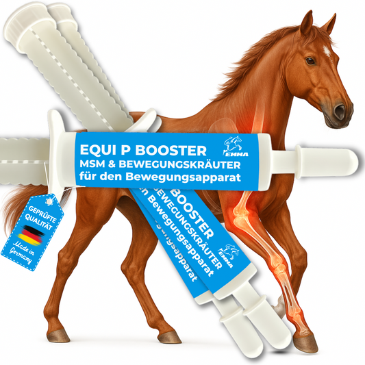 Equi P Booster für Pferde, MSM & Weidenrinde für den Bewegungsapparate 3*30ml