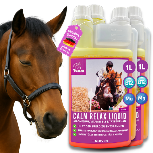 Magnesium, Vitamin B12 fürs Pferd für die Nerven, bei Stress, 2x1L