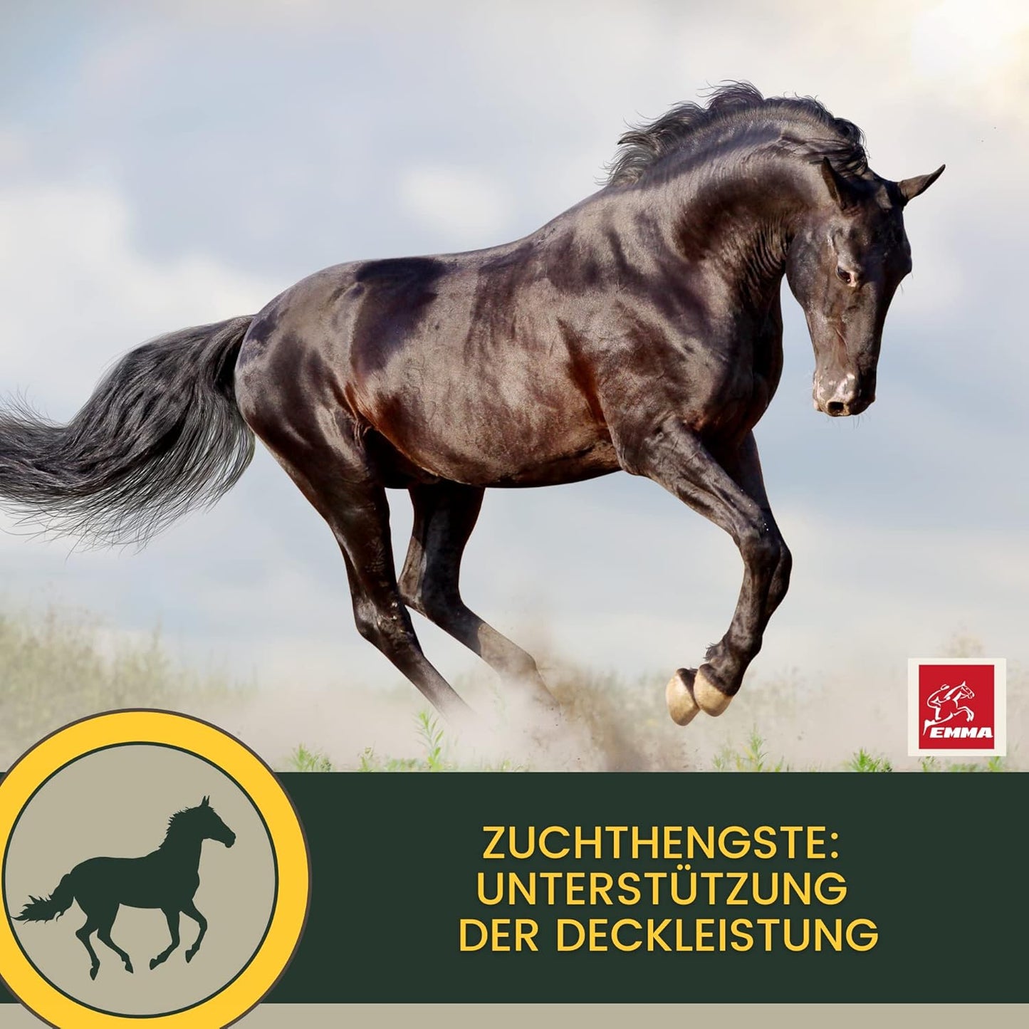 Multi-Vitamine für Pferde, Mischung mit B-Vitaminen, Zink & Eisen 1 L