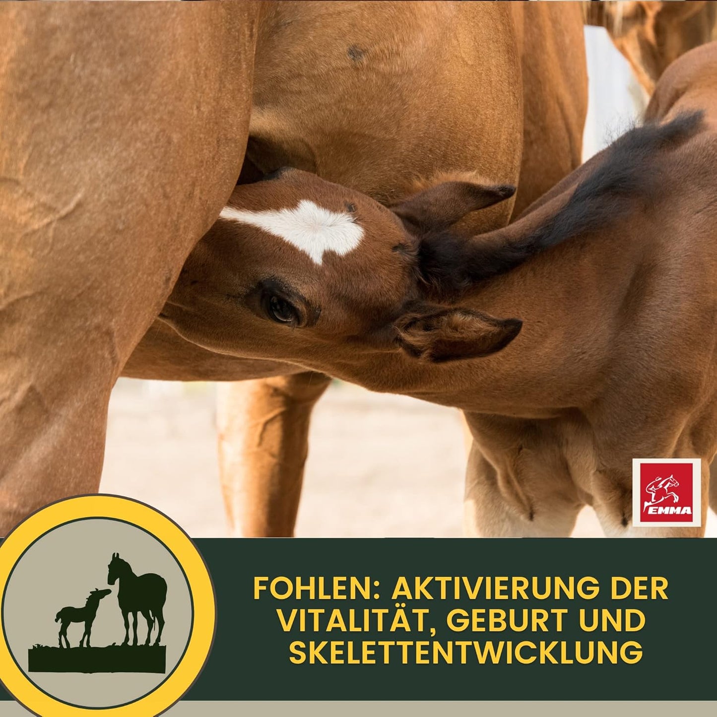 Multi-Vitamine für Pferde, Mischung mit B-Vitaminen, Zink & Eisen 1 L