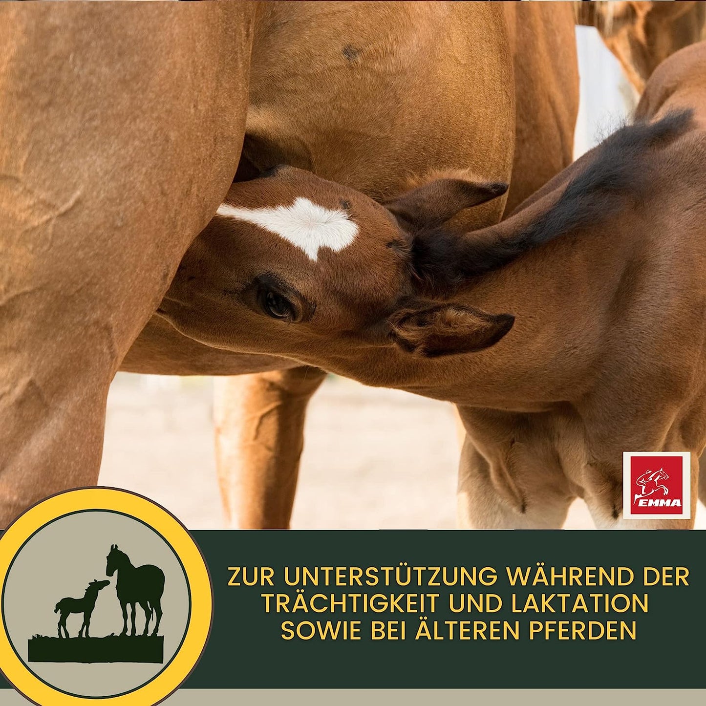 Vitamin Booster für Pferde, Paste mit B-Vitaminen  1St.