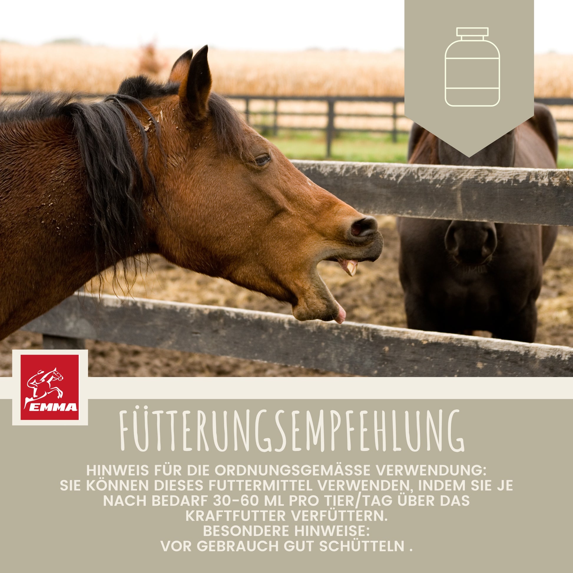 Hustensaft Bronchial Schleimlöser Pferd elixier 1L